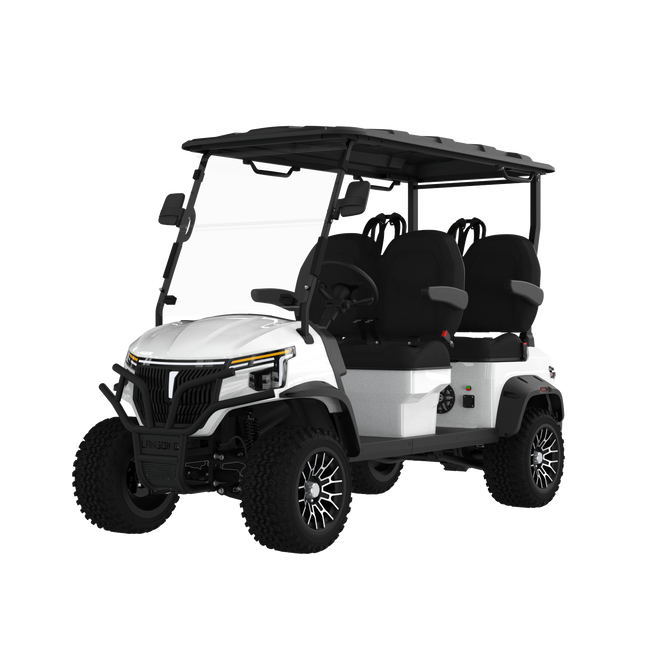 Widerway Golf Carts/Sightseeing Cars 4 Seaters-LQD045