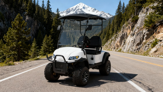 Learn which sightseeing bus brands offer the best value in 2025 with insights on TCO, build quality, and innovation for tour and resort fleets.