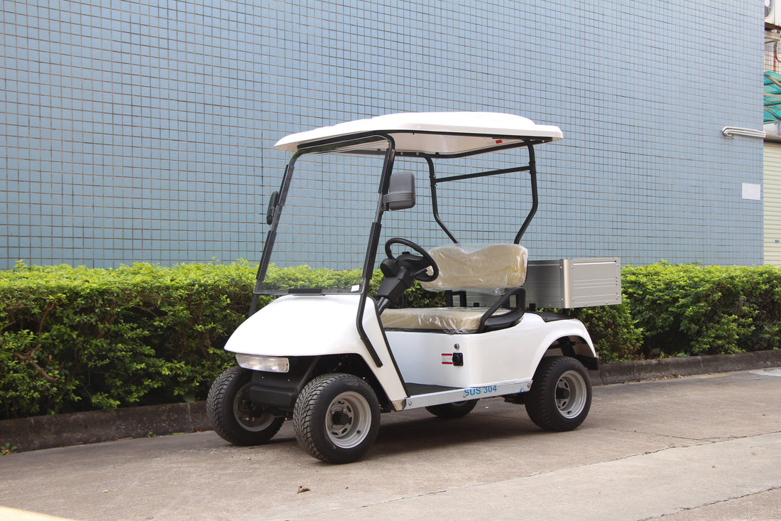 Explore top German golf cart suppliers offering electric golf carts, bespoke modifications, and durable fleet solutions for professional buyers.