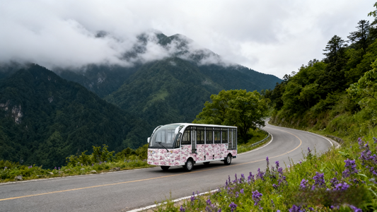 From energy savings to lower upkeep, electric sightseeing buses prove that sustainable travel is also the most cost-effective choice.