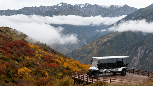 Unlock the business potential of world-class sightseeing buses — a strategic investment that drives loyalty, revenue, and lasting impact.