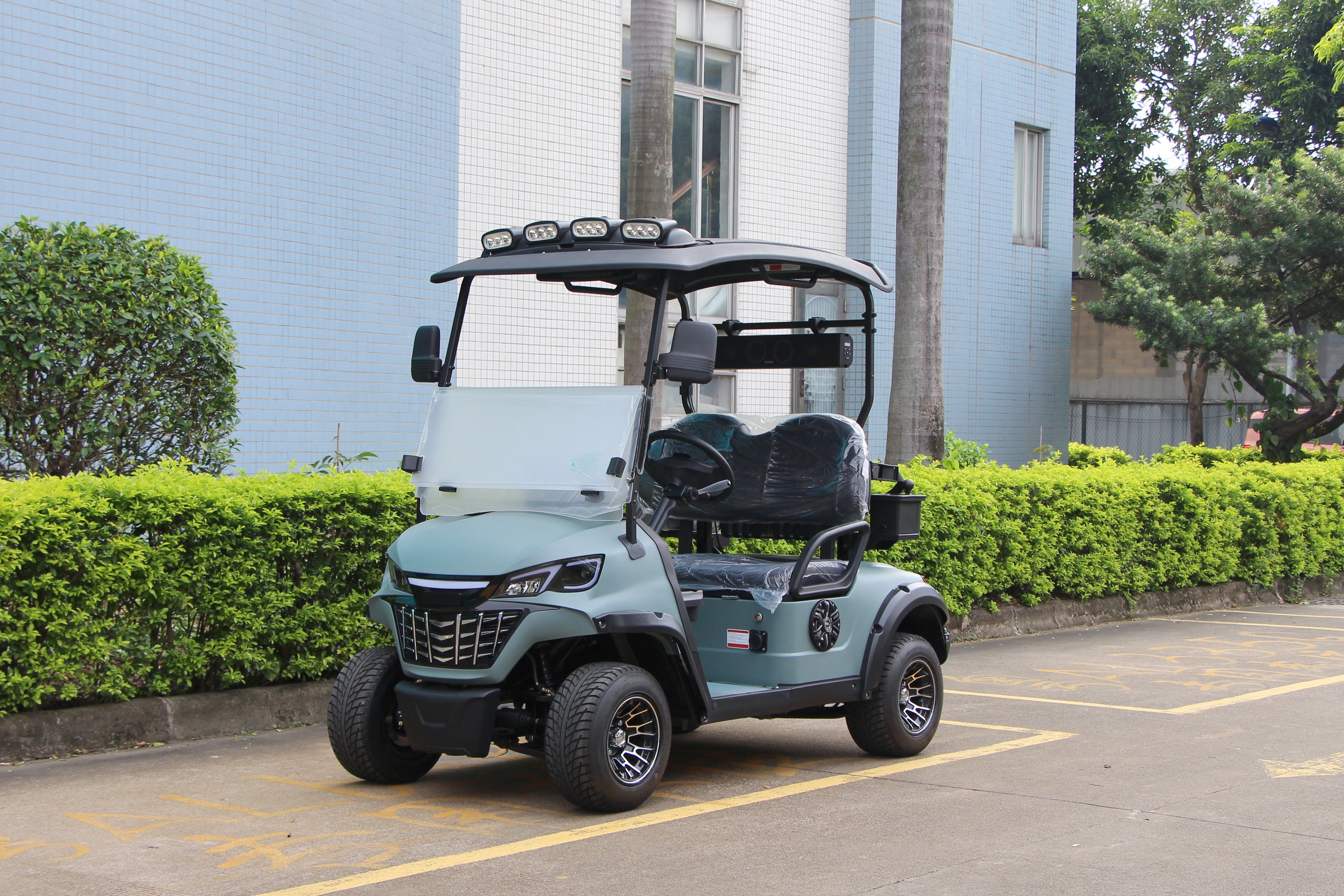 Widerway Golf Carts/Sightseeing Cars 2 Seaters-LQS021