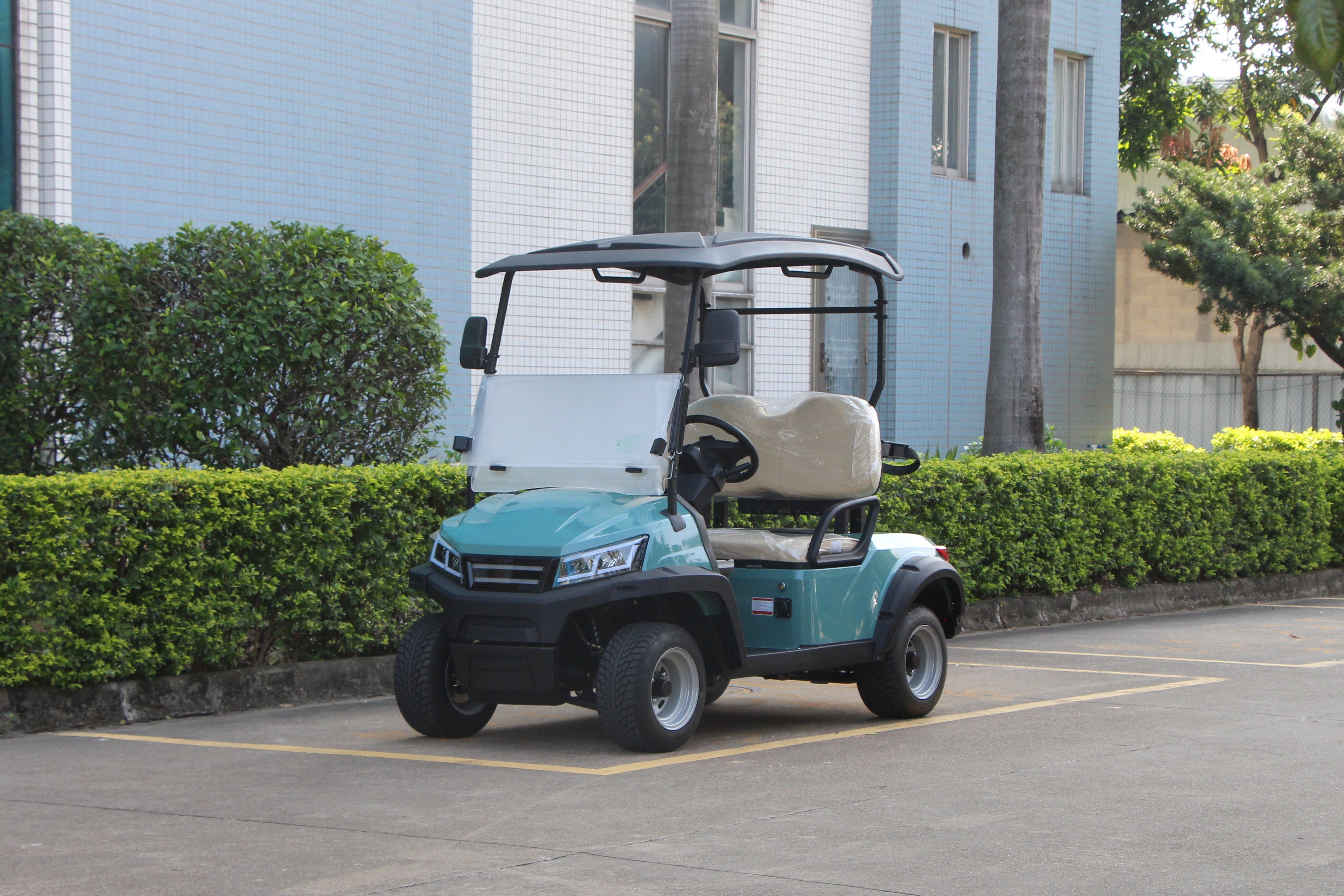 Widerway Golf Carts/Sightseeing Cars 2 Seaters-LQS022