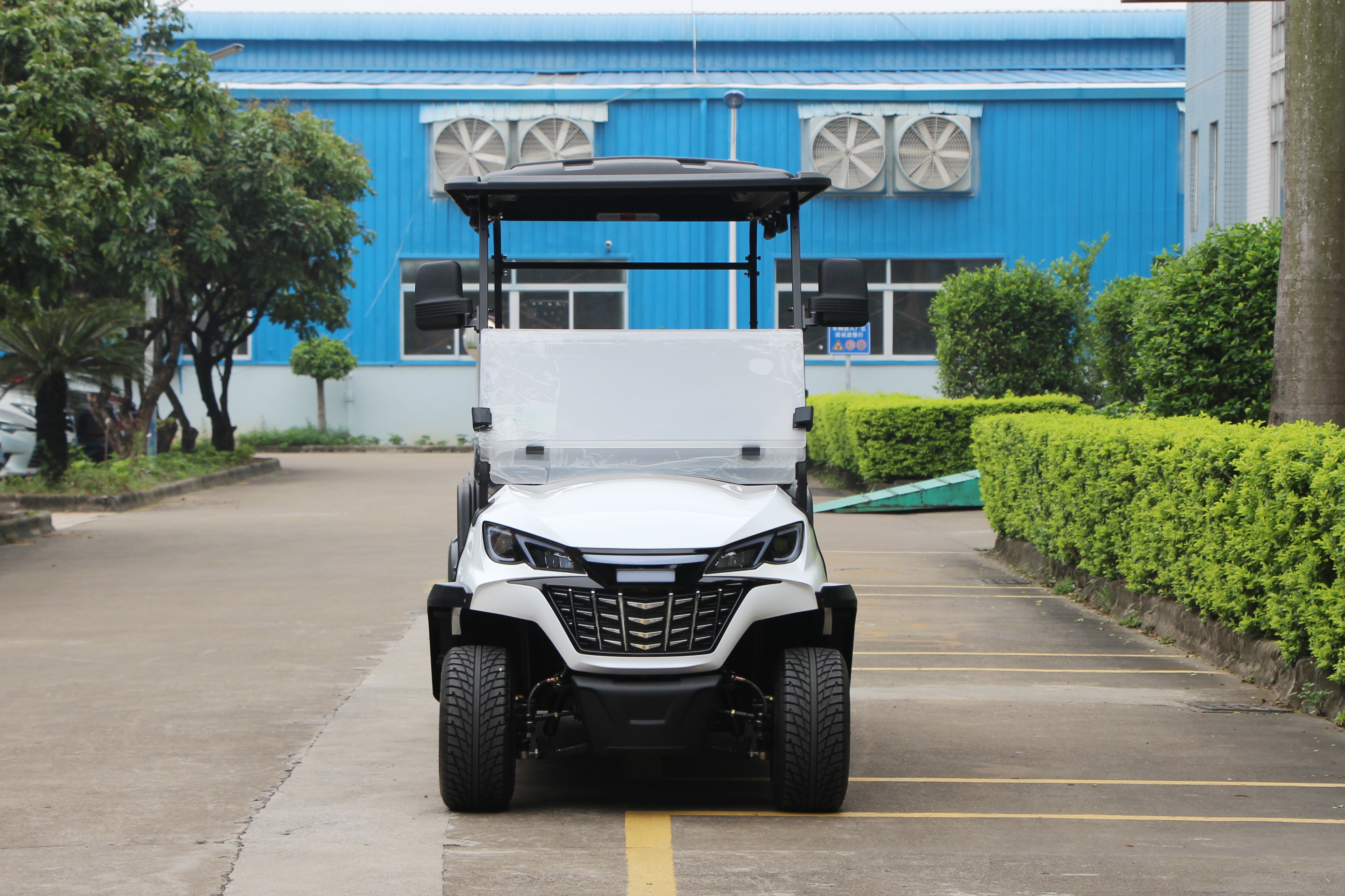 Widerway Golf Carts/Sightseeing Cars 6 Seaters-LQS061