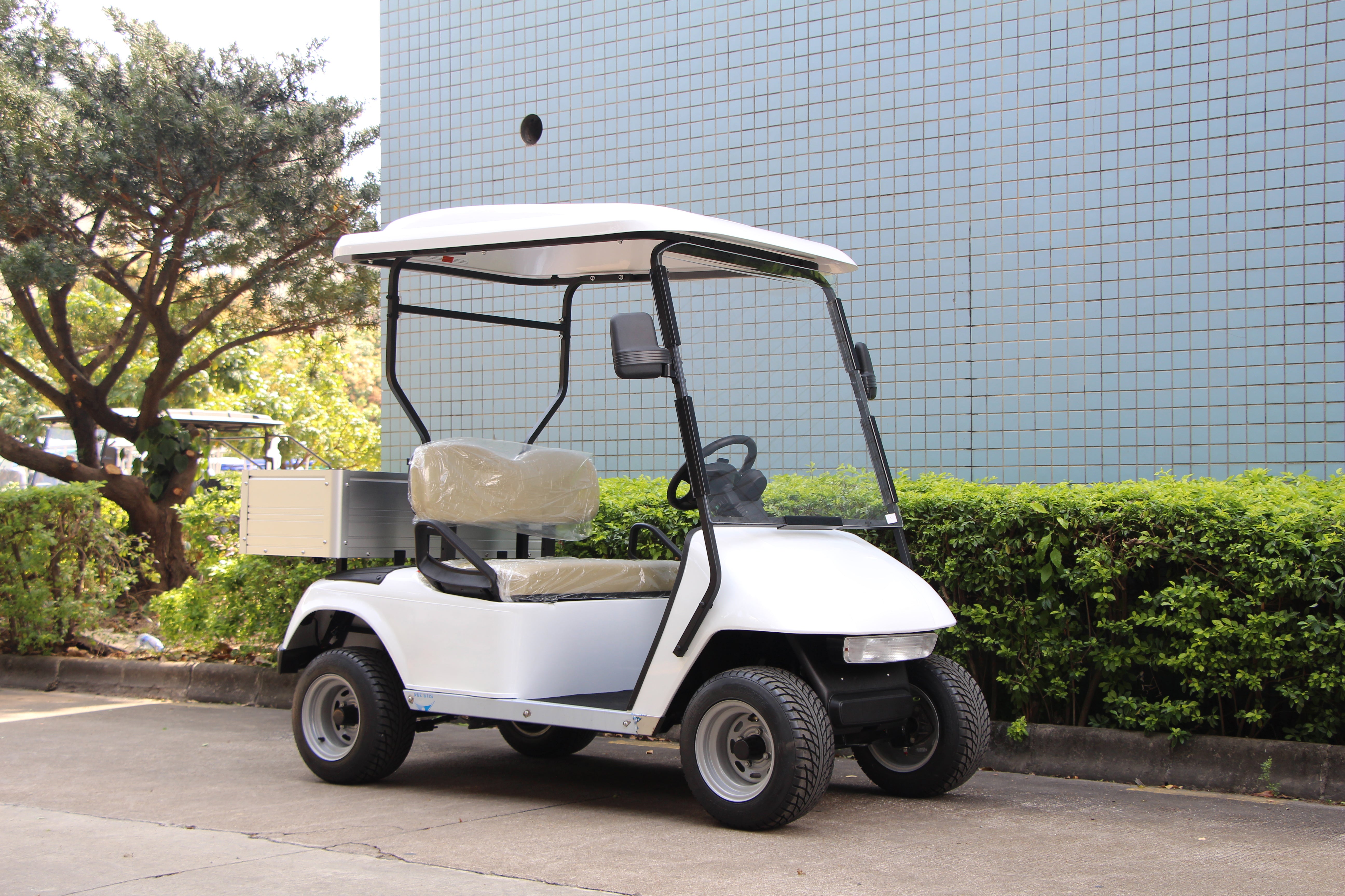 Widerway Golf Carts/Sightseeing Cars 2 Seaters-LQ2R