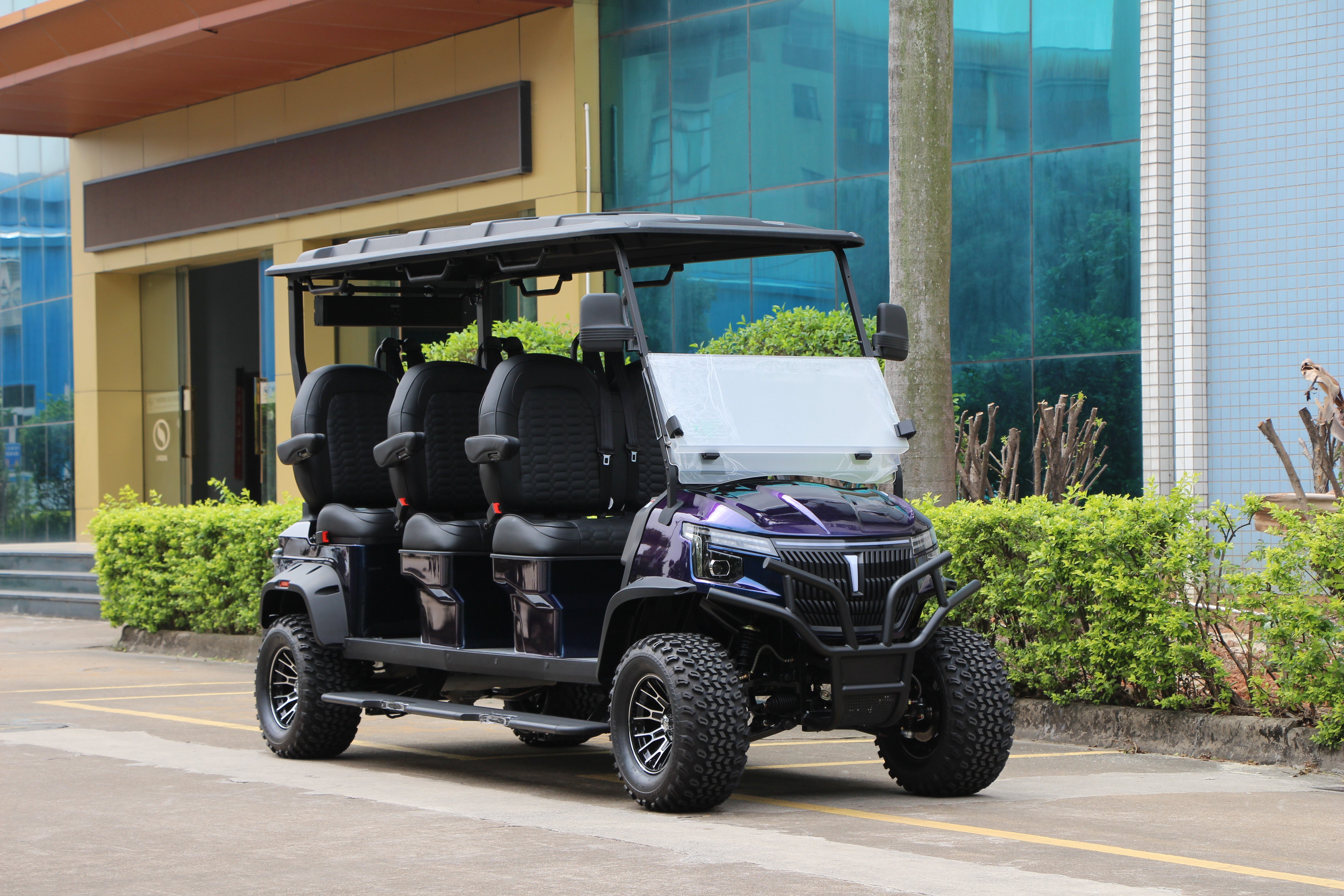 Widerway Golf Carts/Sightseeing Cars 4 Seaters-LQD045