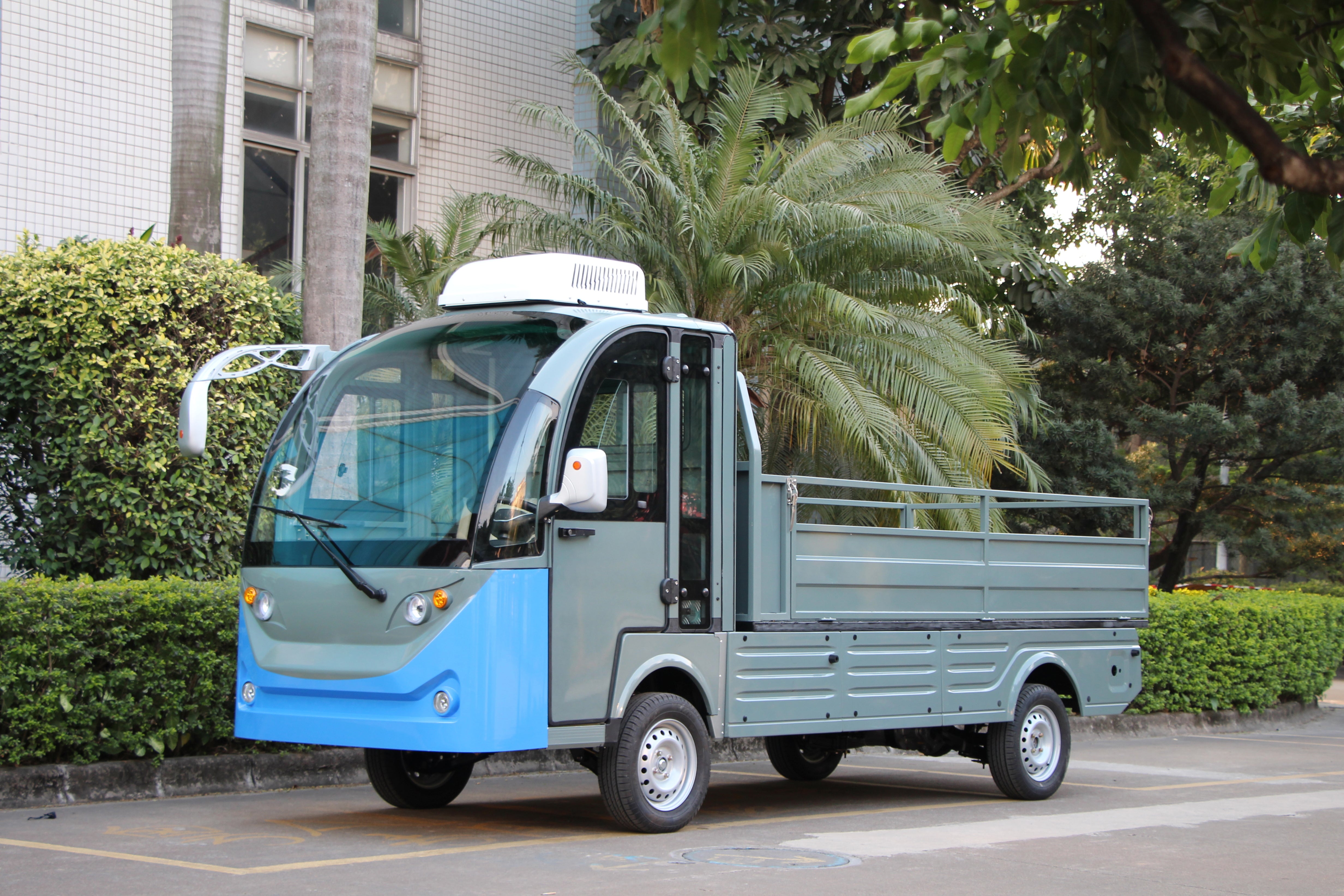 Widerway Cargo Truck 2 Seaters Customizable-LQF1032F