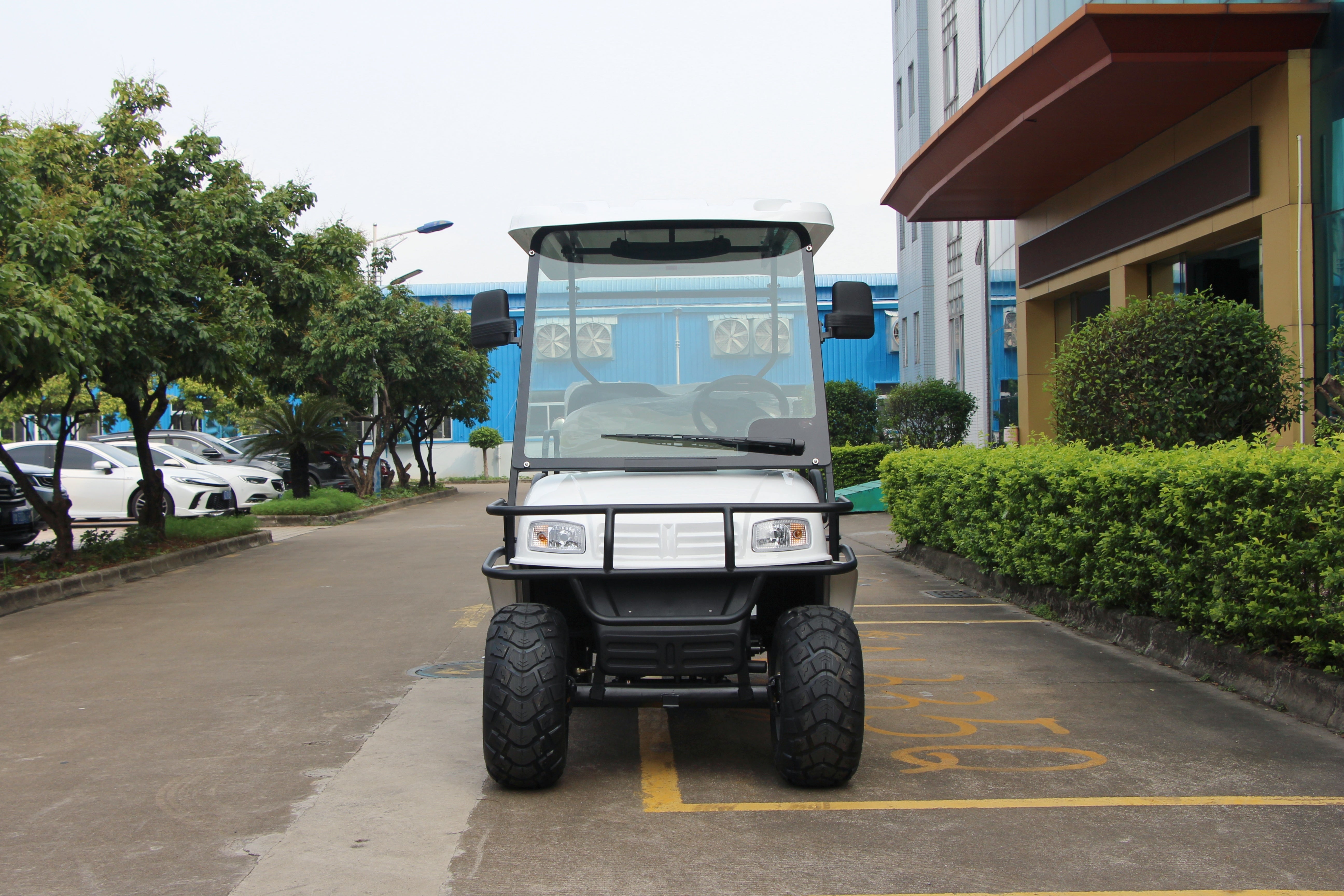 Widerway Golf Carts/Sightseeing Cars 4 Seaters-LQDH2+2