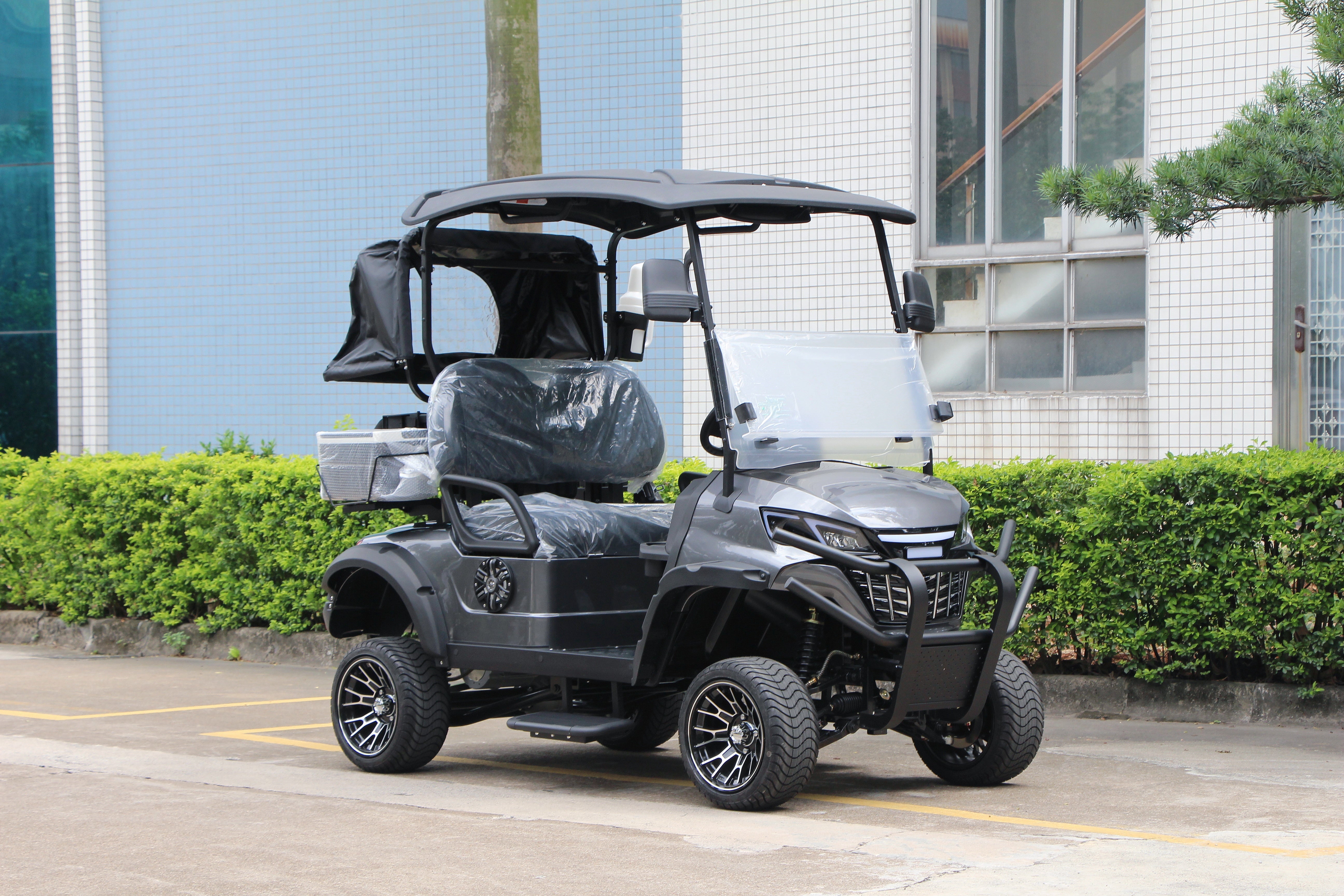Widerway Golf Carts/Sightseeing Cars 2 Seaters-LQD021