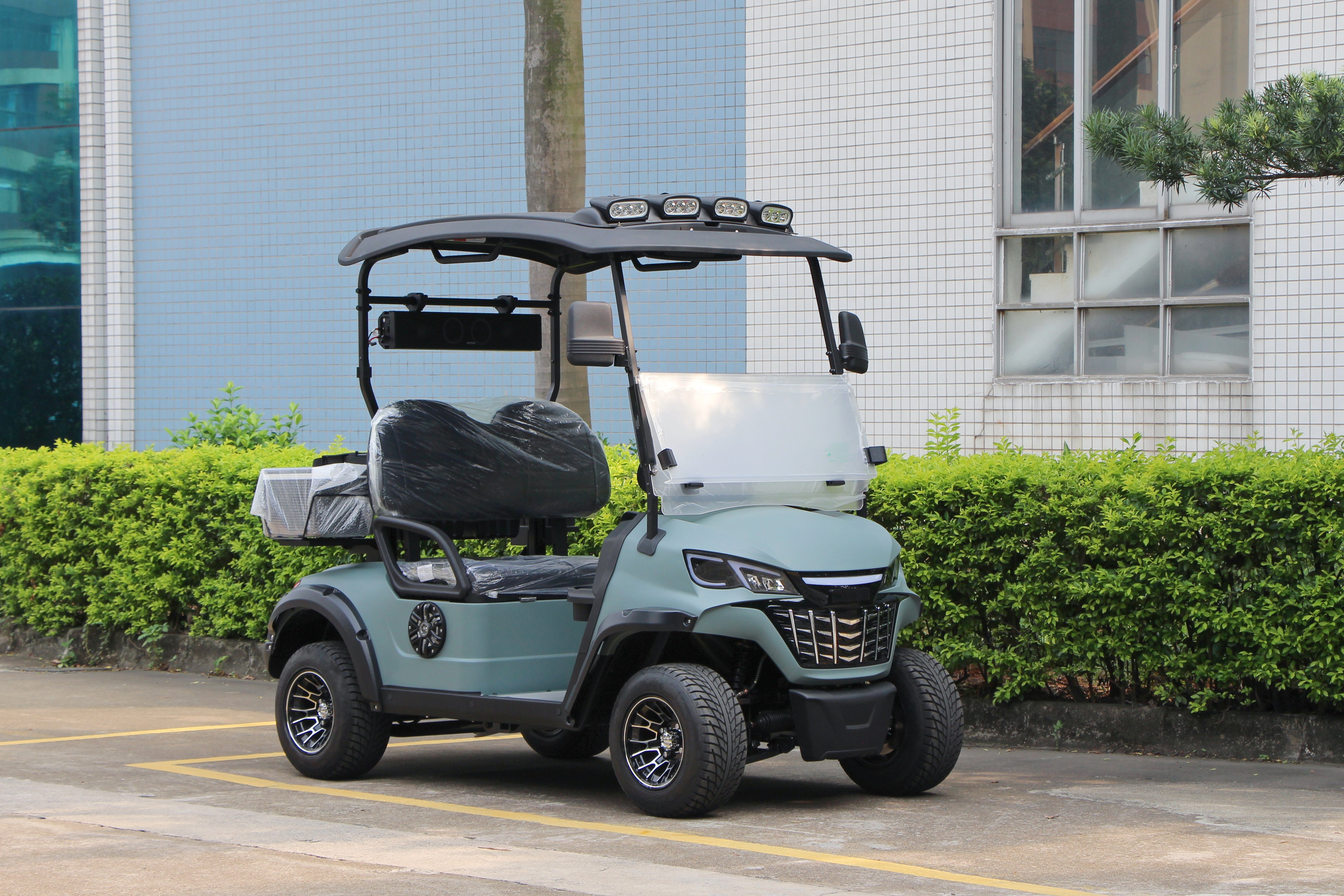 Widerway Golf Carts/Sightseeing Cars 2 Seaters-LQS021