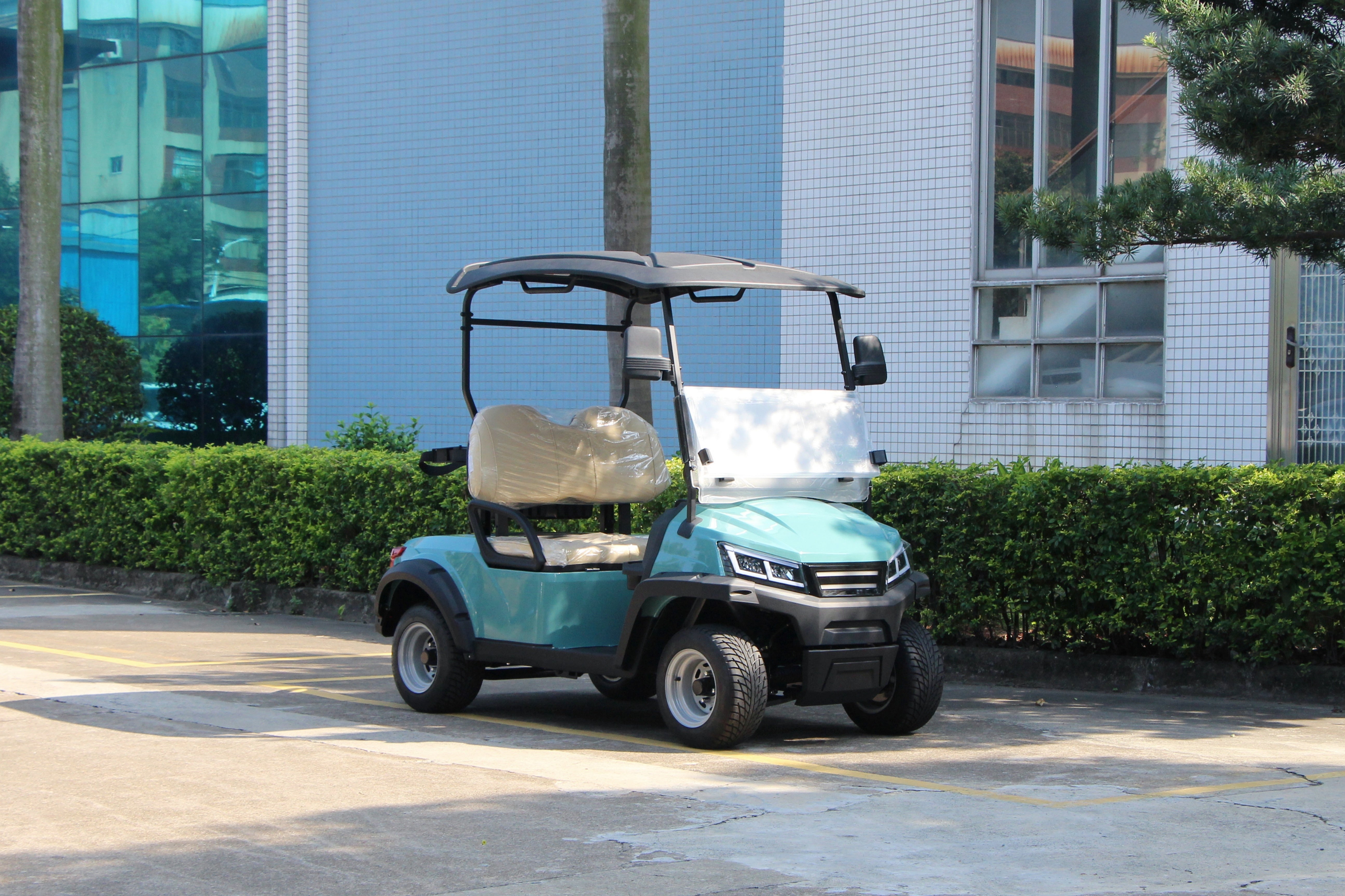 Widerway Golf Carts/Sightseeing Cars 2 Seaters-LQS022