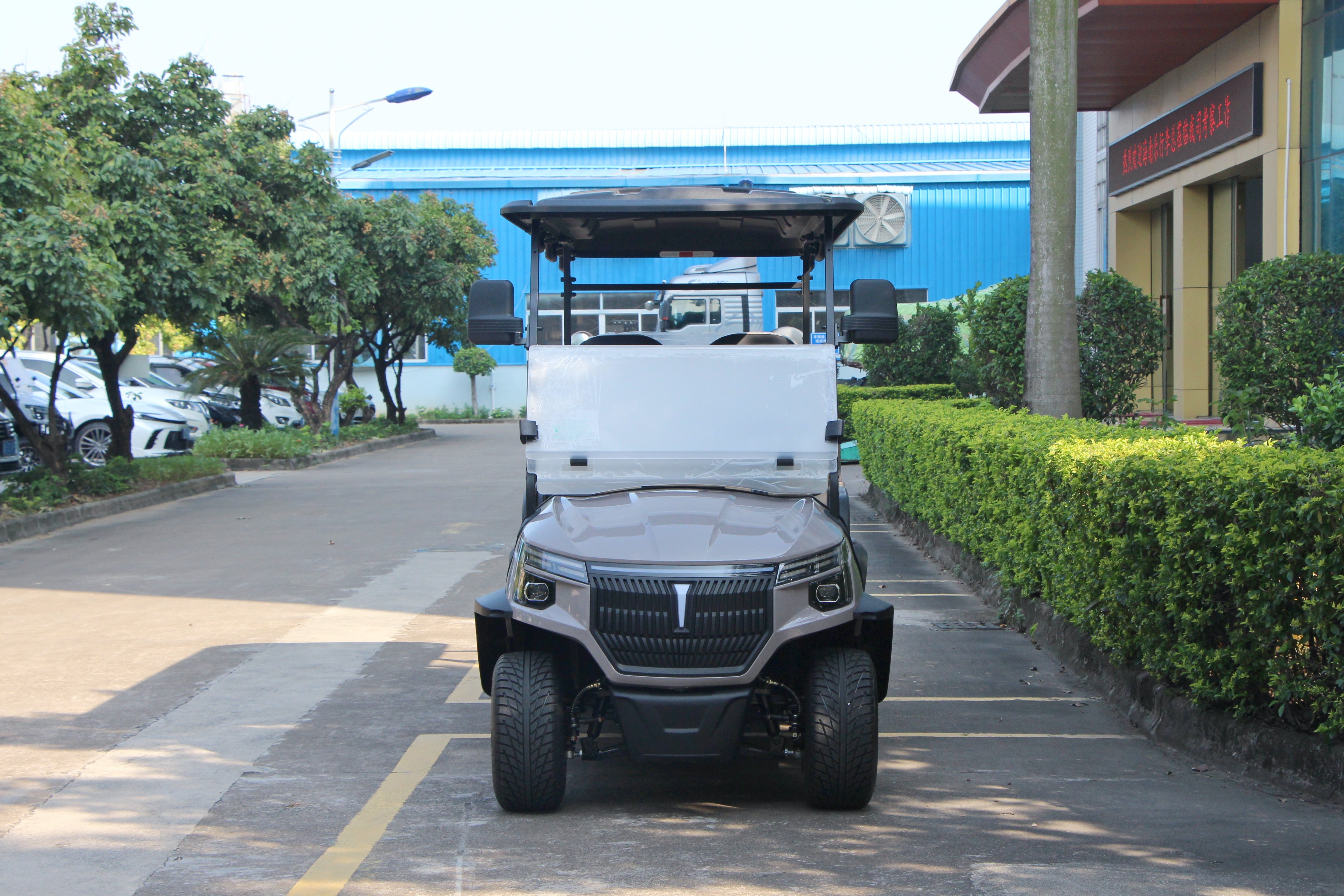 Widerway Golf Carts/Sightseeing Cars 6 Seaters-LQS043+2