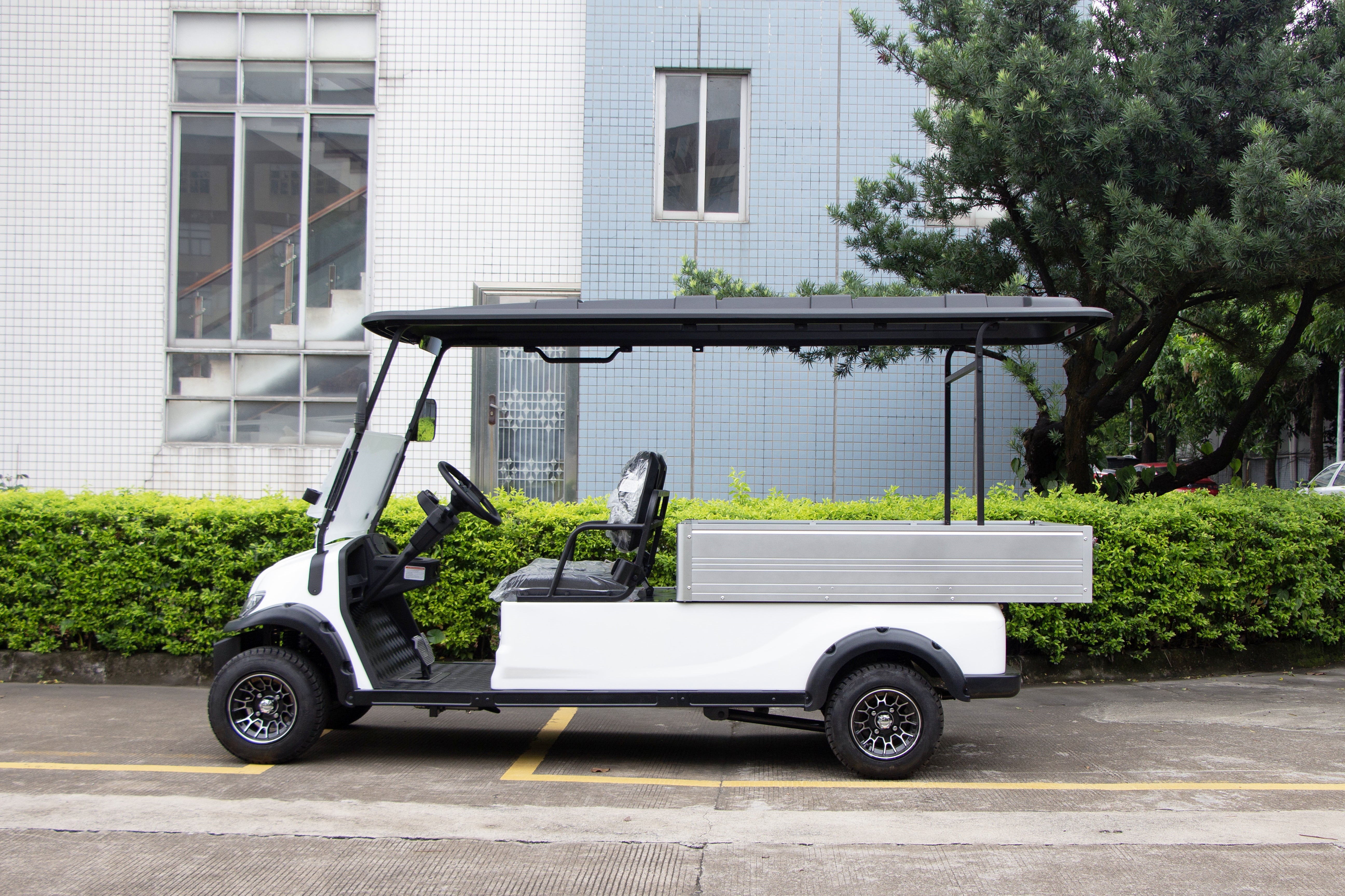 Widerway Cargo Truck 2 Seaters Customizable-LQSF020B