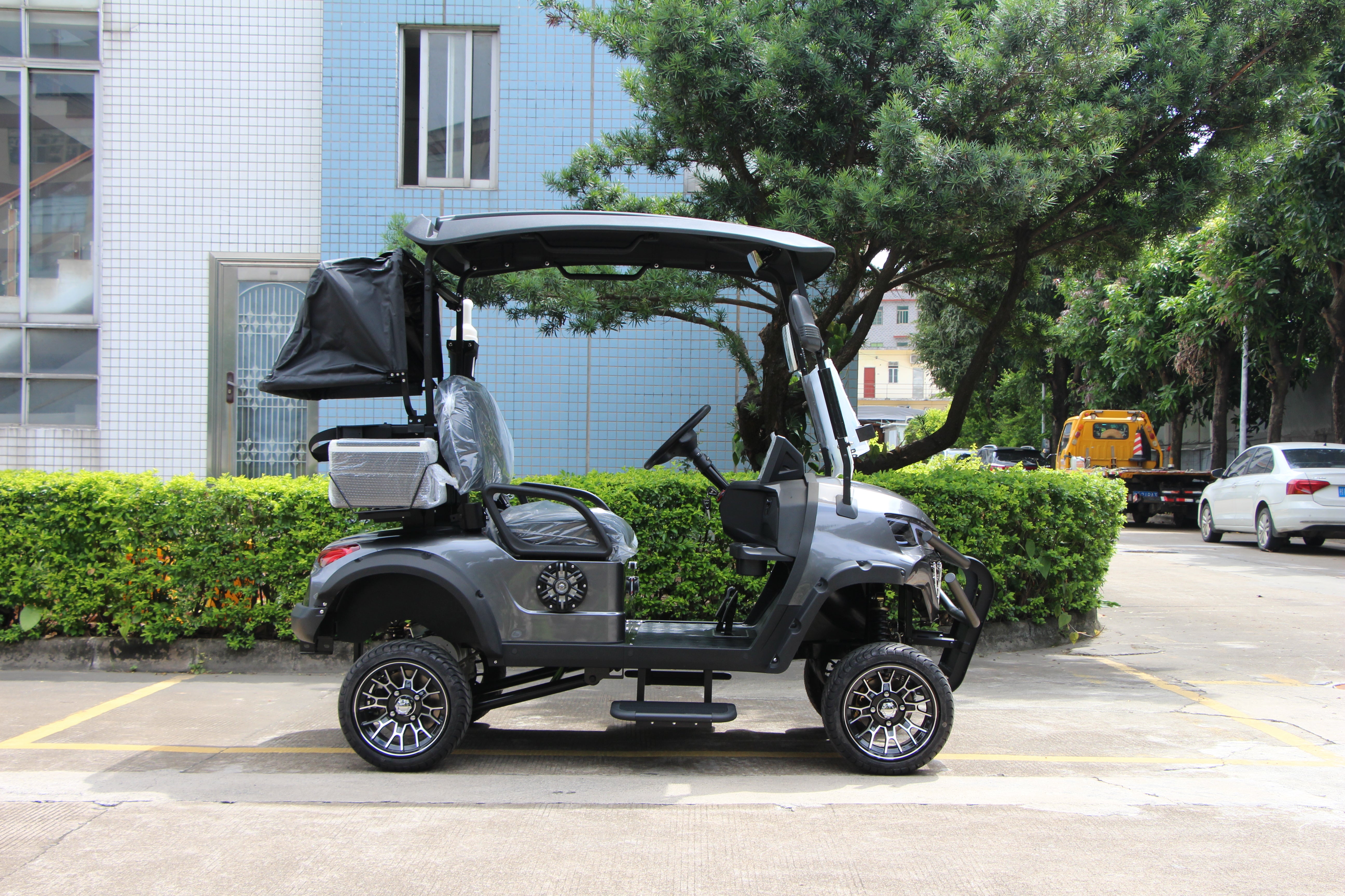 Widerway Golf Carts/Sightseeing Cars 2 Seaters-LQD021
