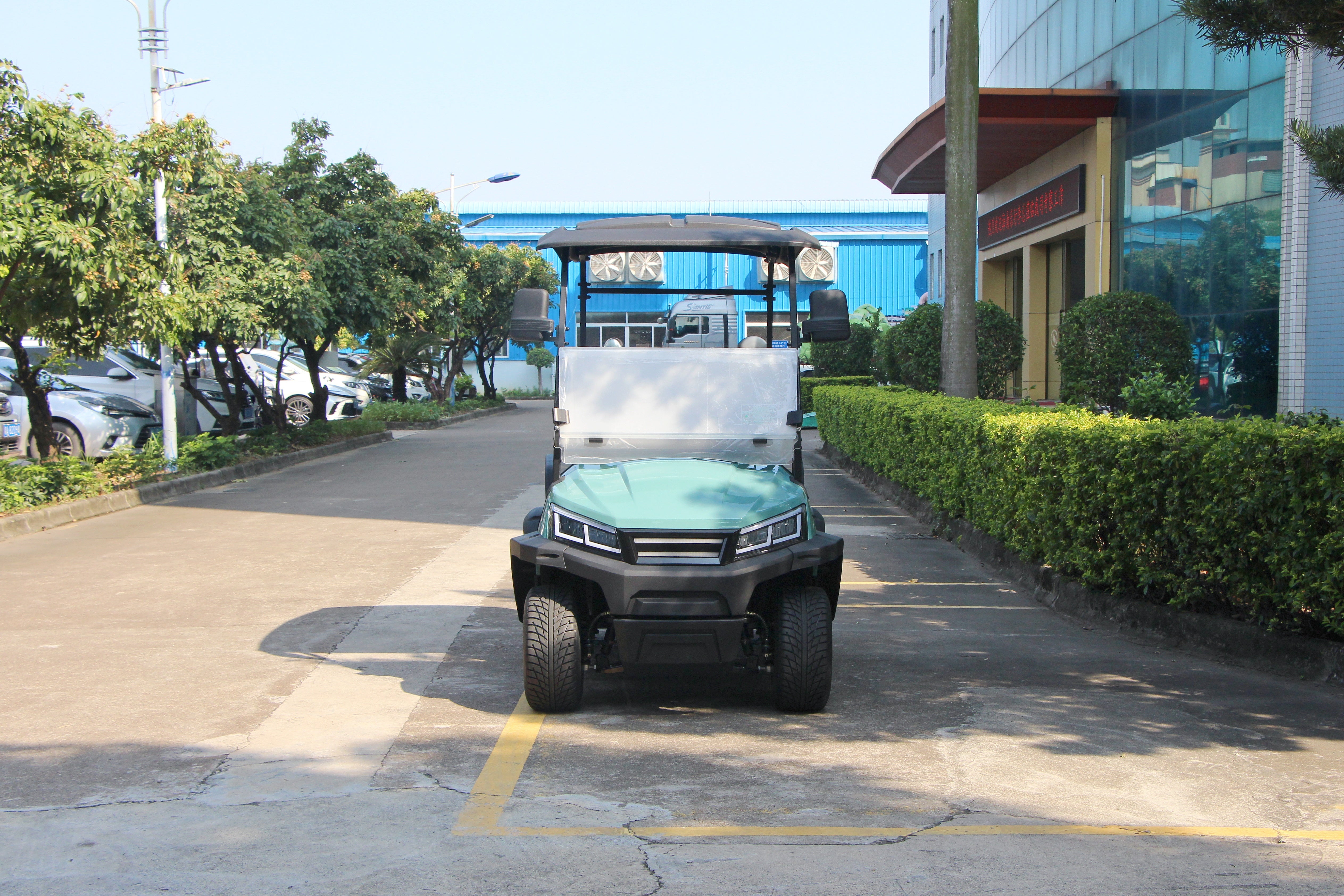 Widerway Golf Carts/Sightseeing Cars 2 Seaters-LQS022