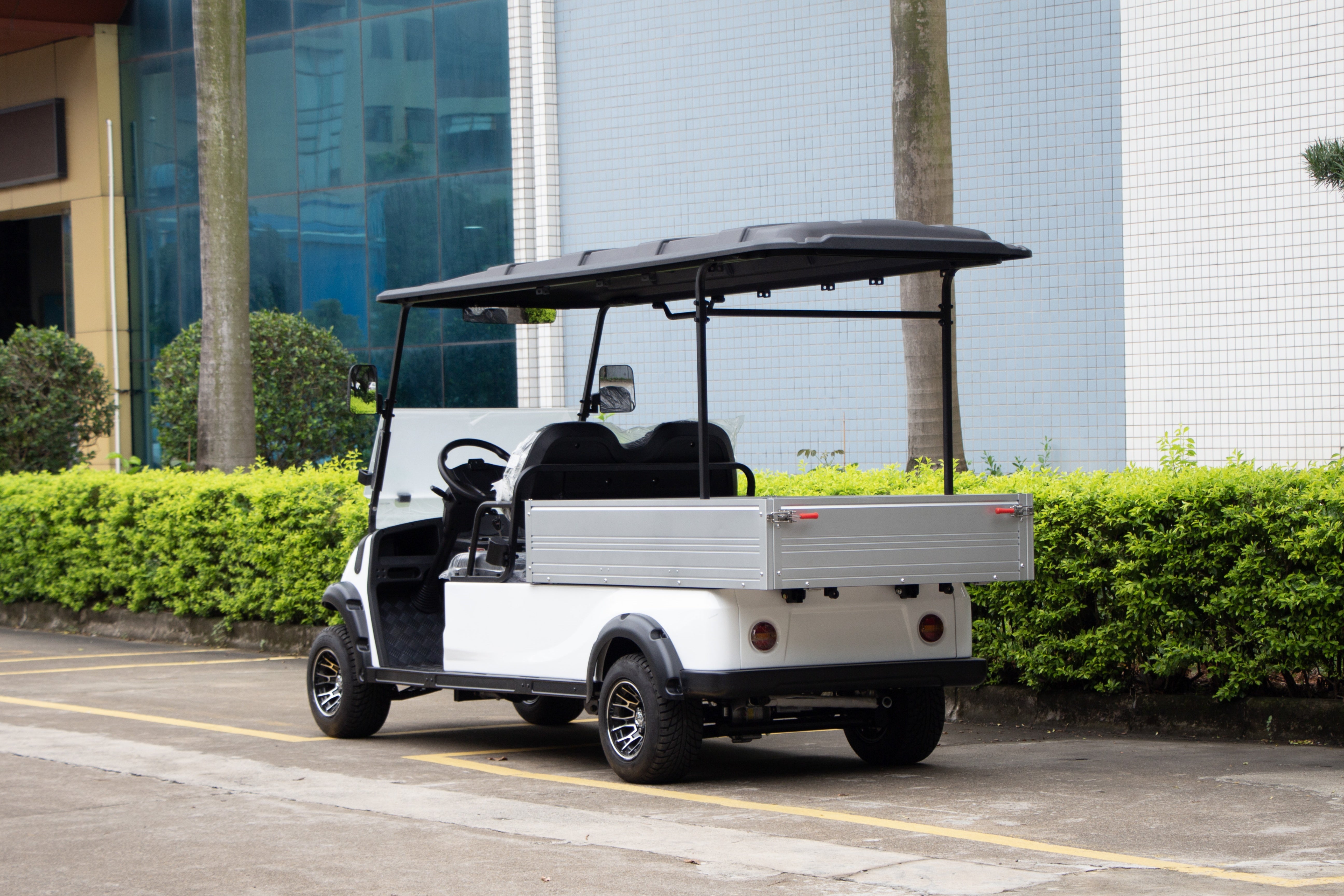 Widerway Cargo Truck 2 Seaters Customizable-LQSF020B