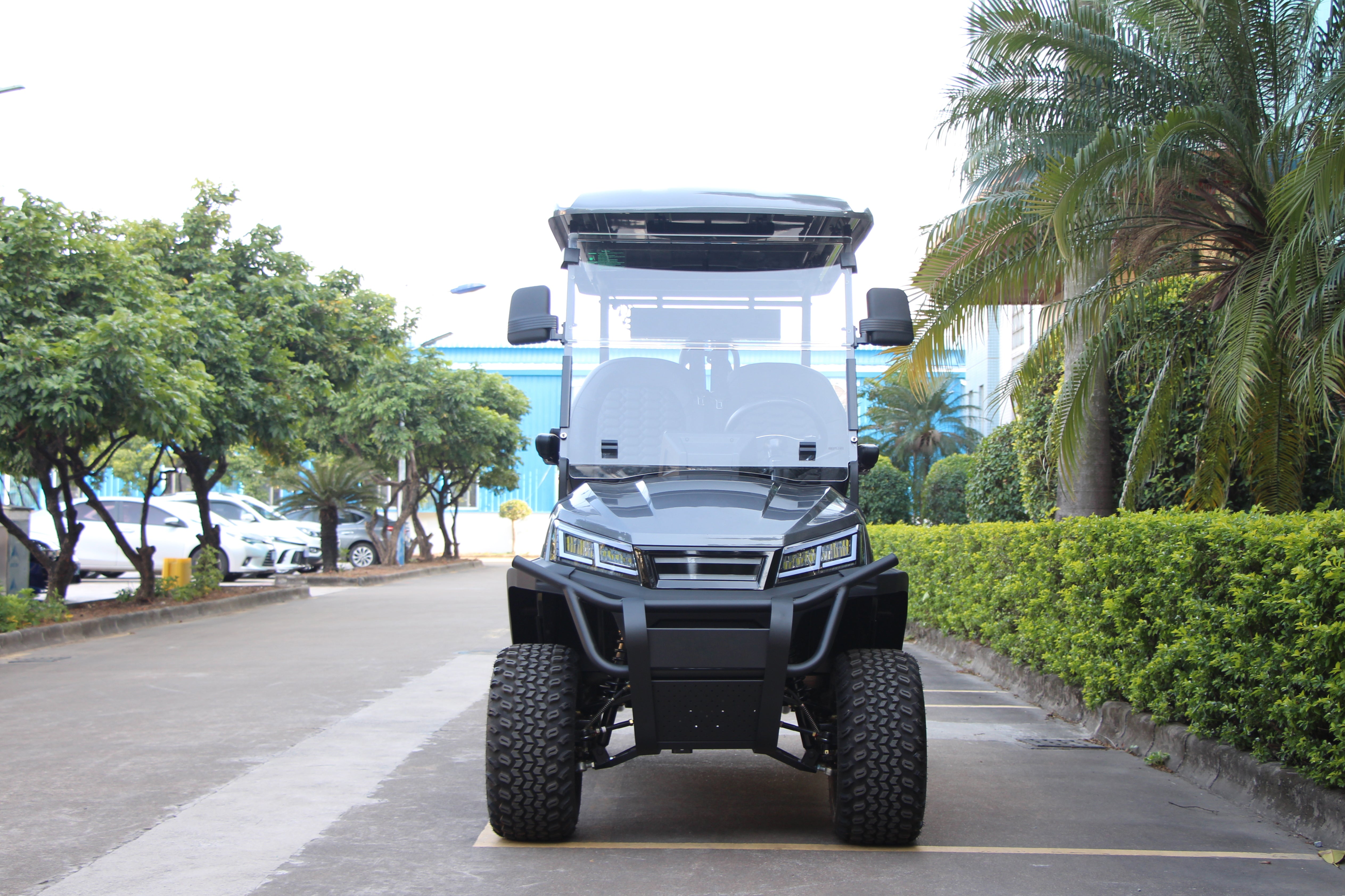 Widerway Golf Carts/Sightseeing Cars 4 Seaters-LQD045A
