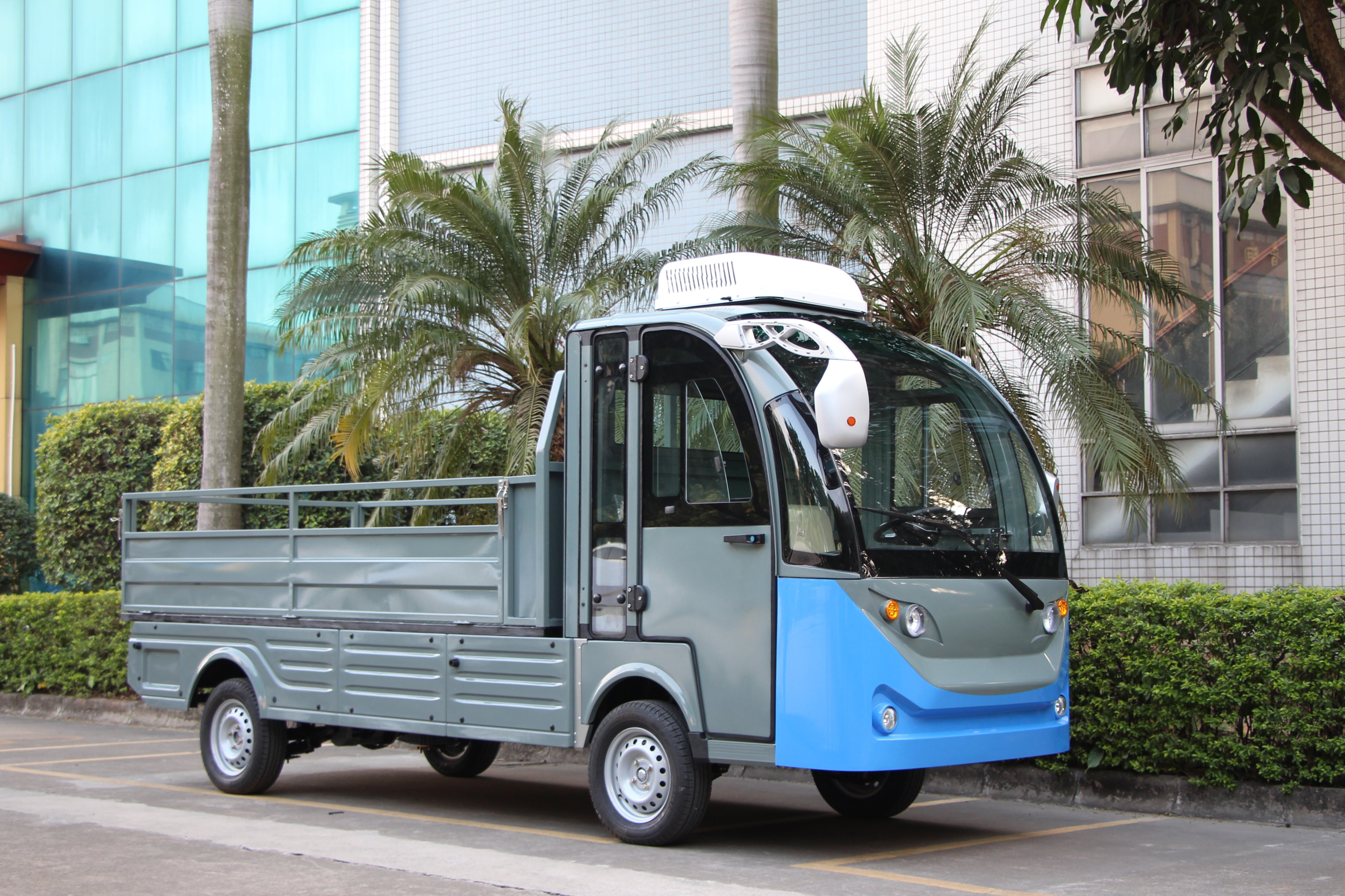 Widerway Cargo Truck 2 Seaters Customizable-LQF1032F