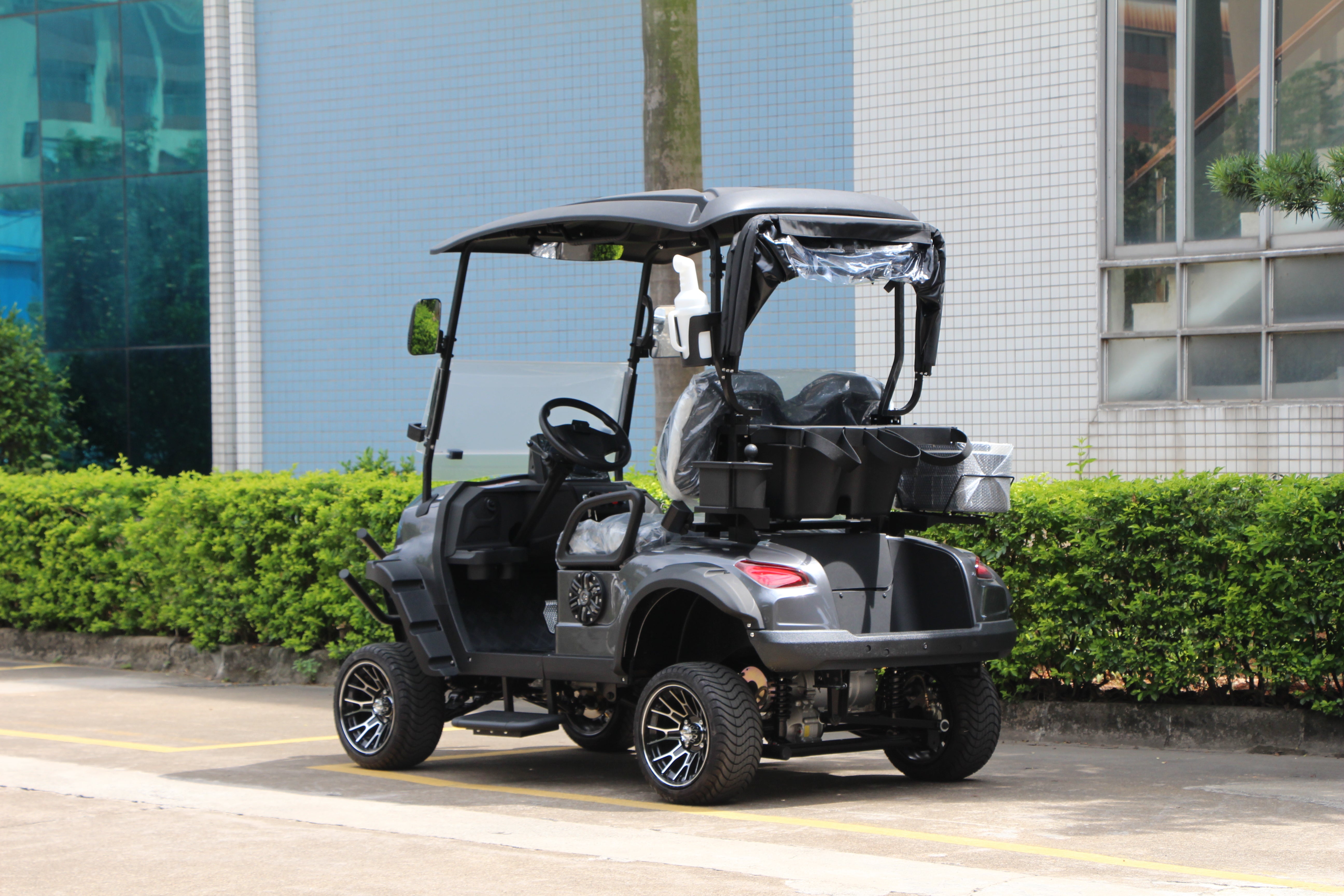 Widerway Golf Carts/Sightseeing Cars 2 Seaters-LQD021