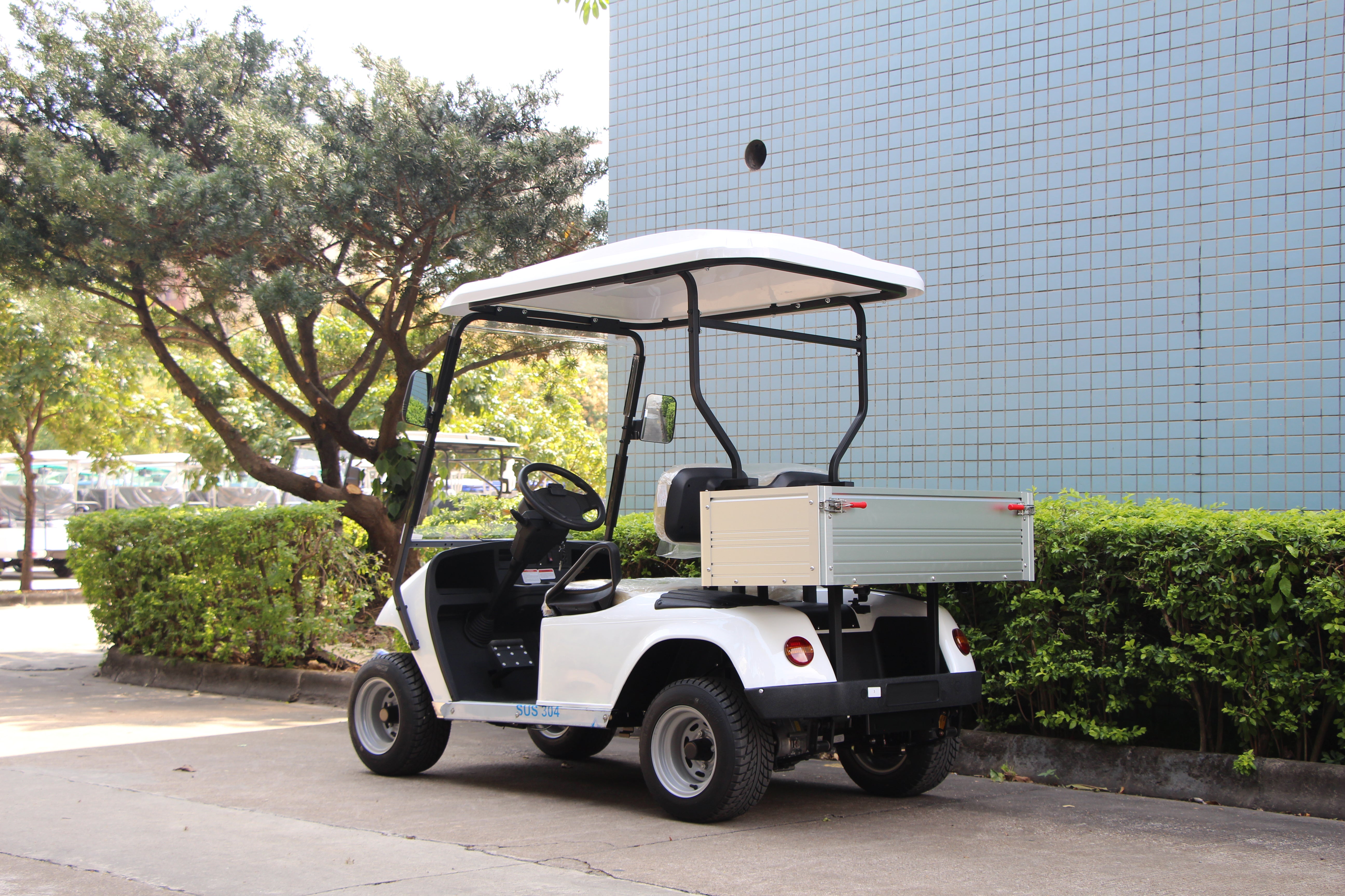 Widerway Golf Carts/Sightseeing Cars 2 Seaters-LQ2R