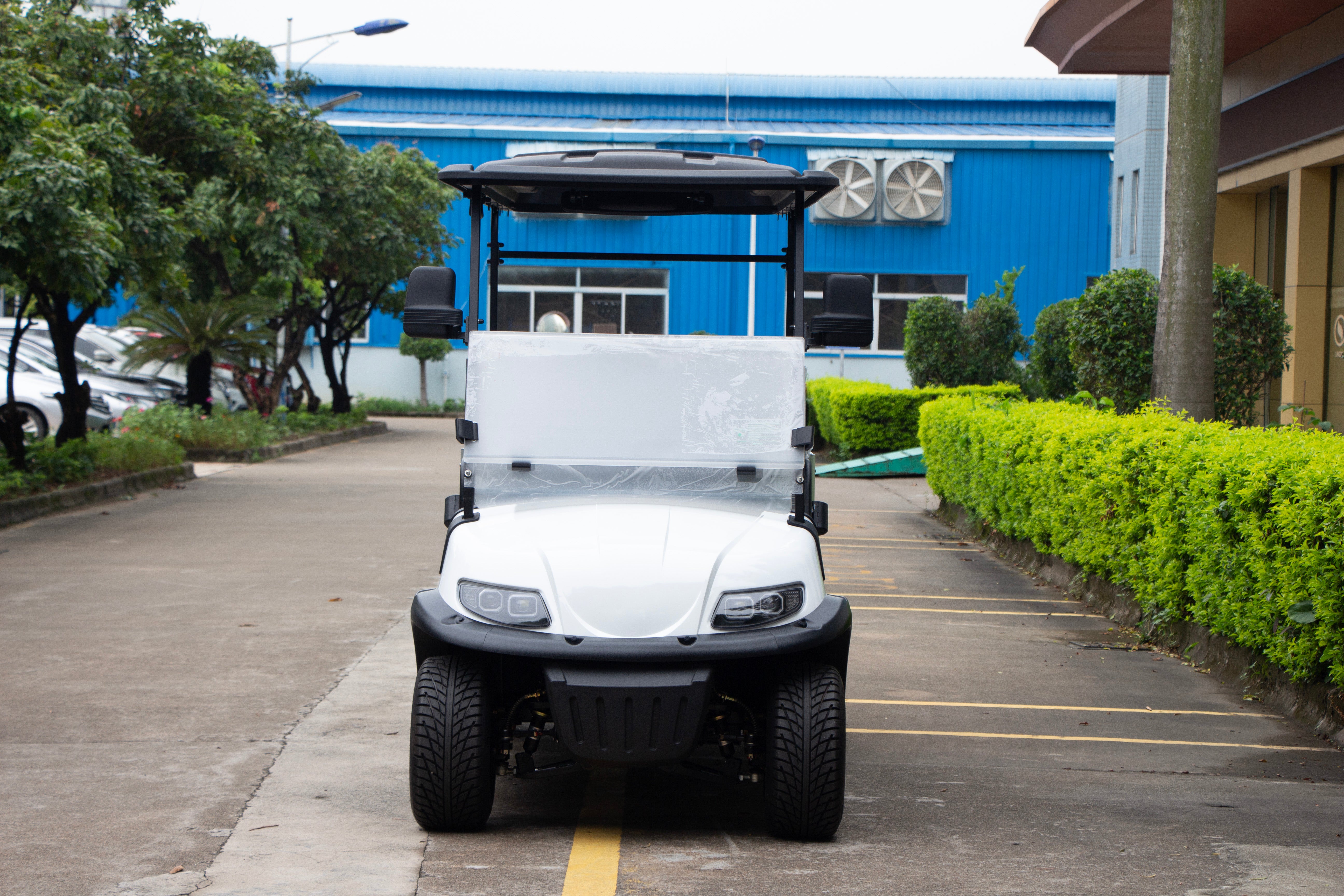 Widerway Cargo Truck 2 Seaters Customizable-LQSF020B