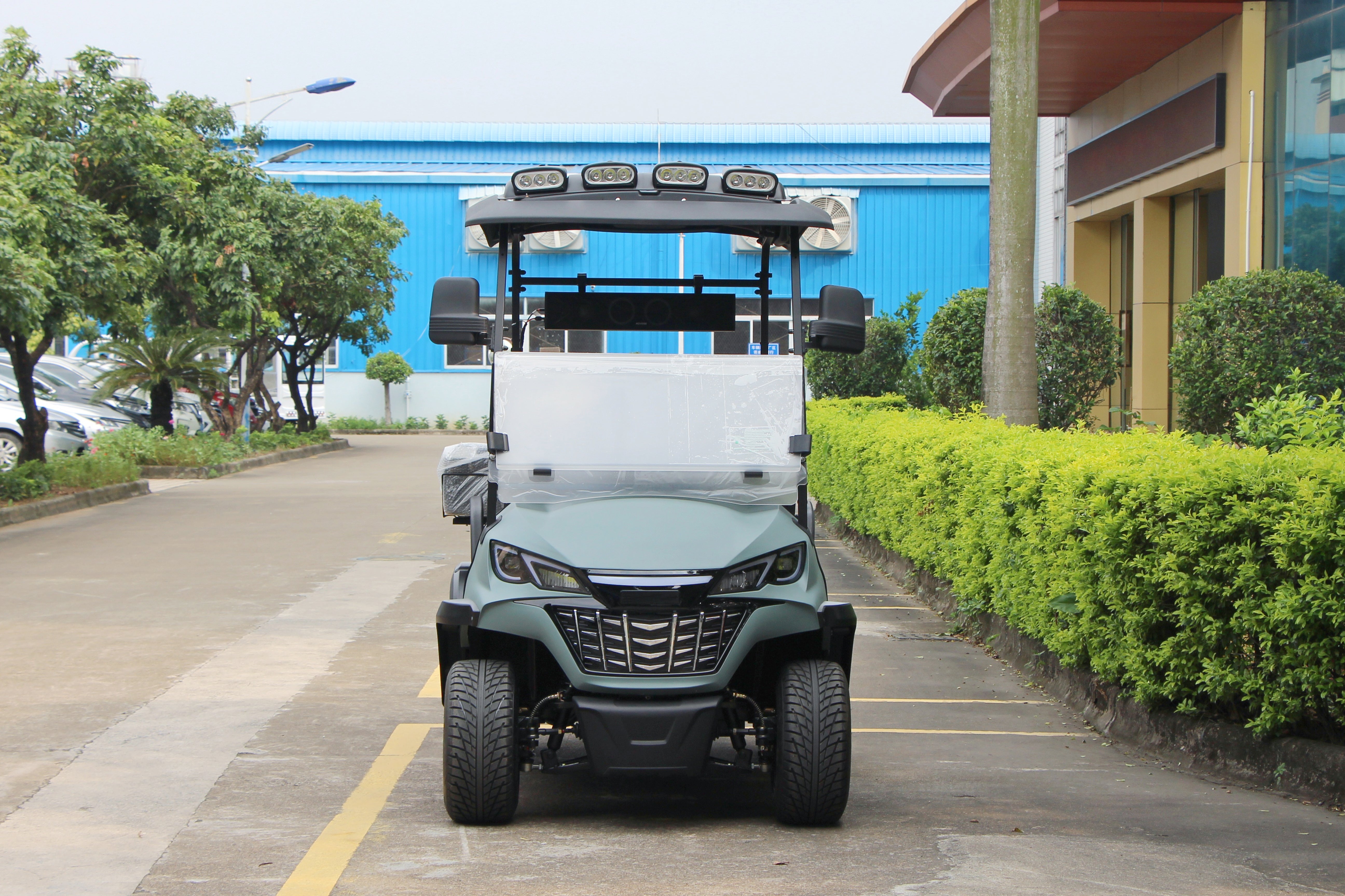 Widerway Golf Carts/Sightseeing Cars 2 Seaters-LQS021