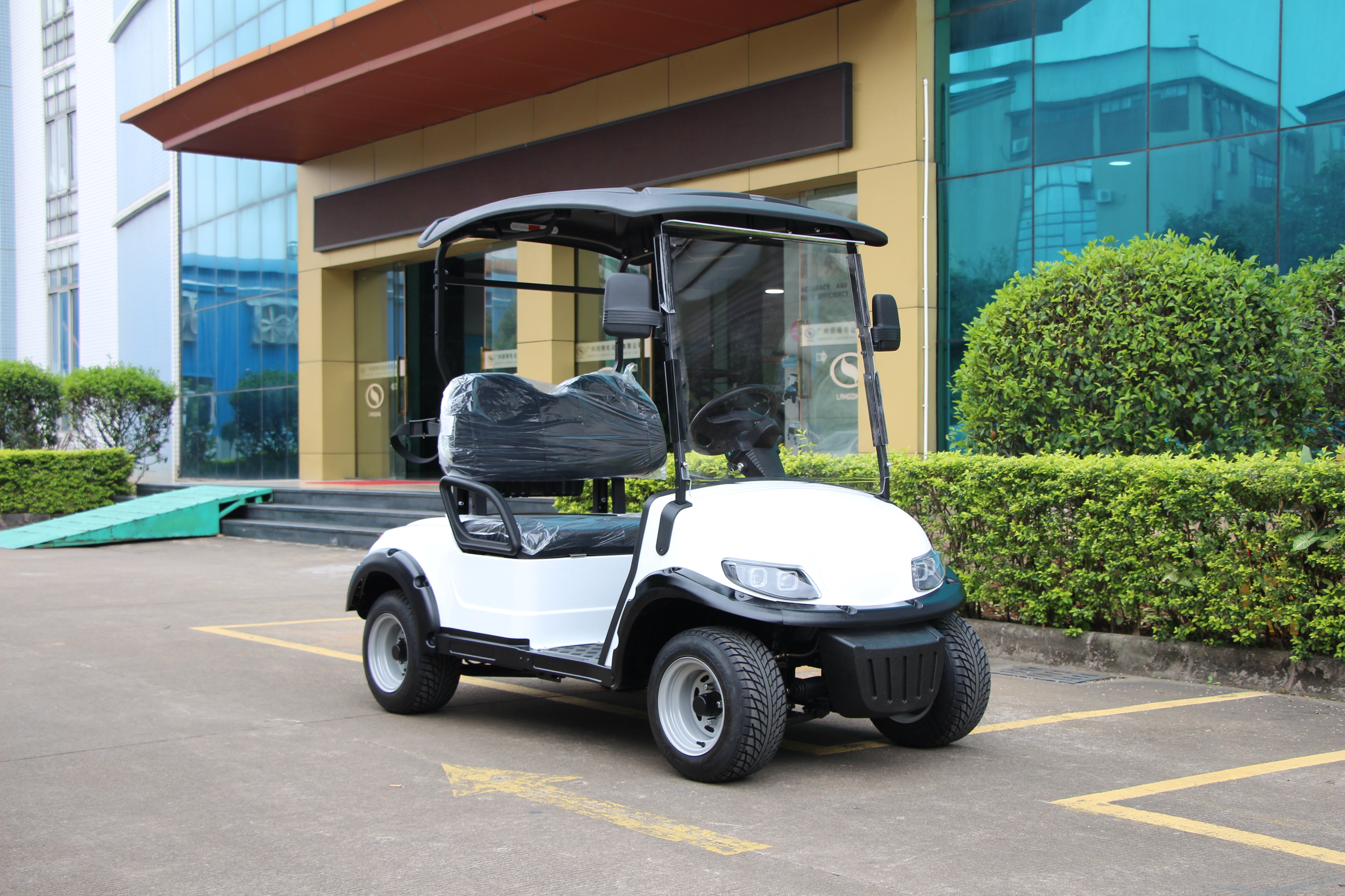 Widerway Golf Carts/Sightseeing Cars 2 Seaters-LQS020A