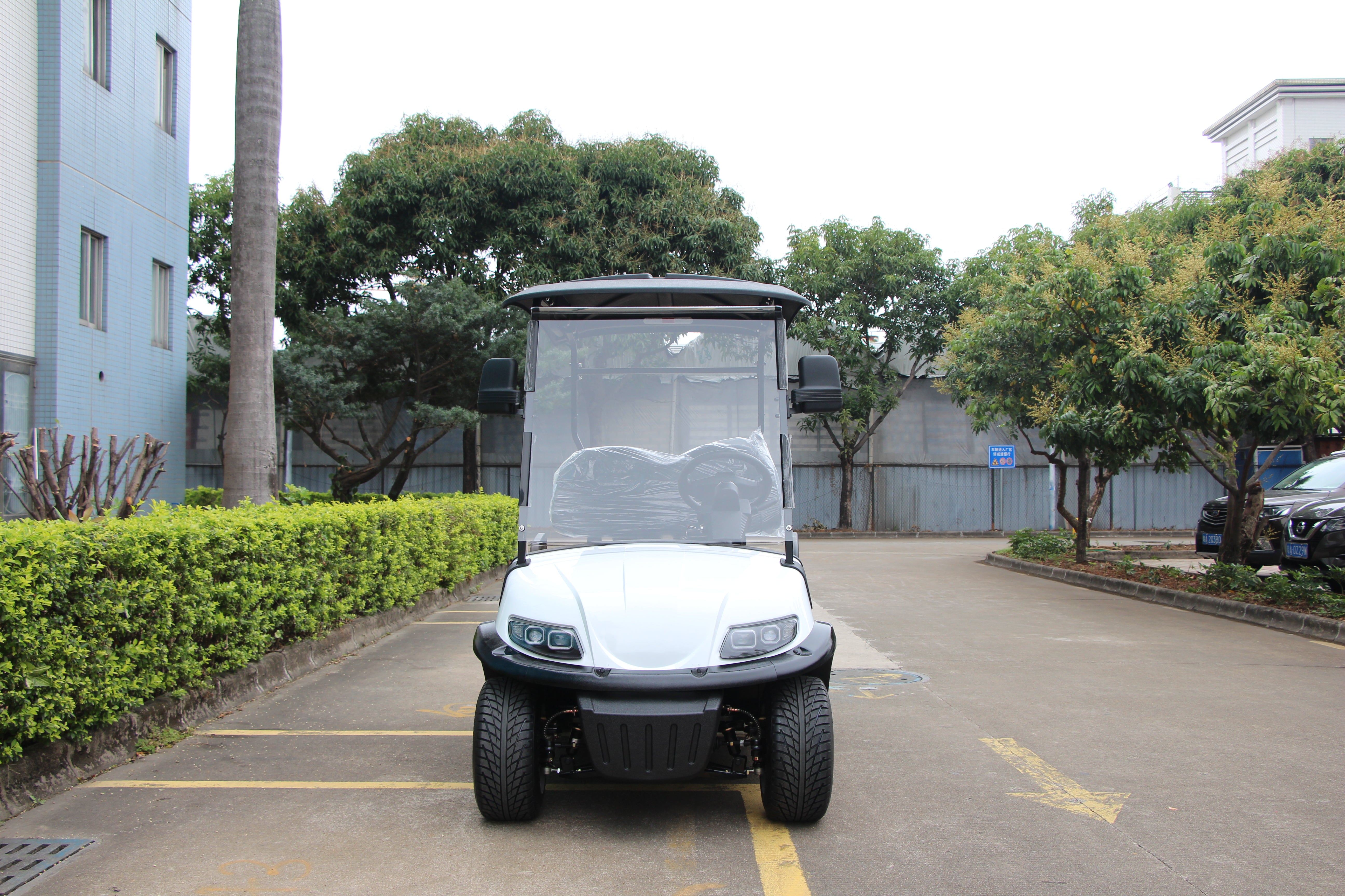 Widerway Golf Carts/Sightseeing Cars 2 Seaters-LQS020A
