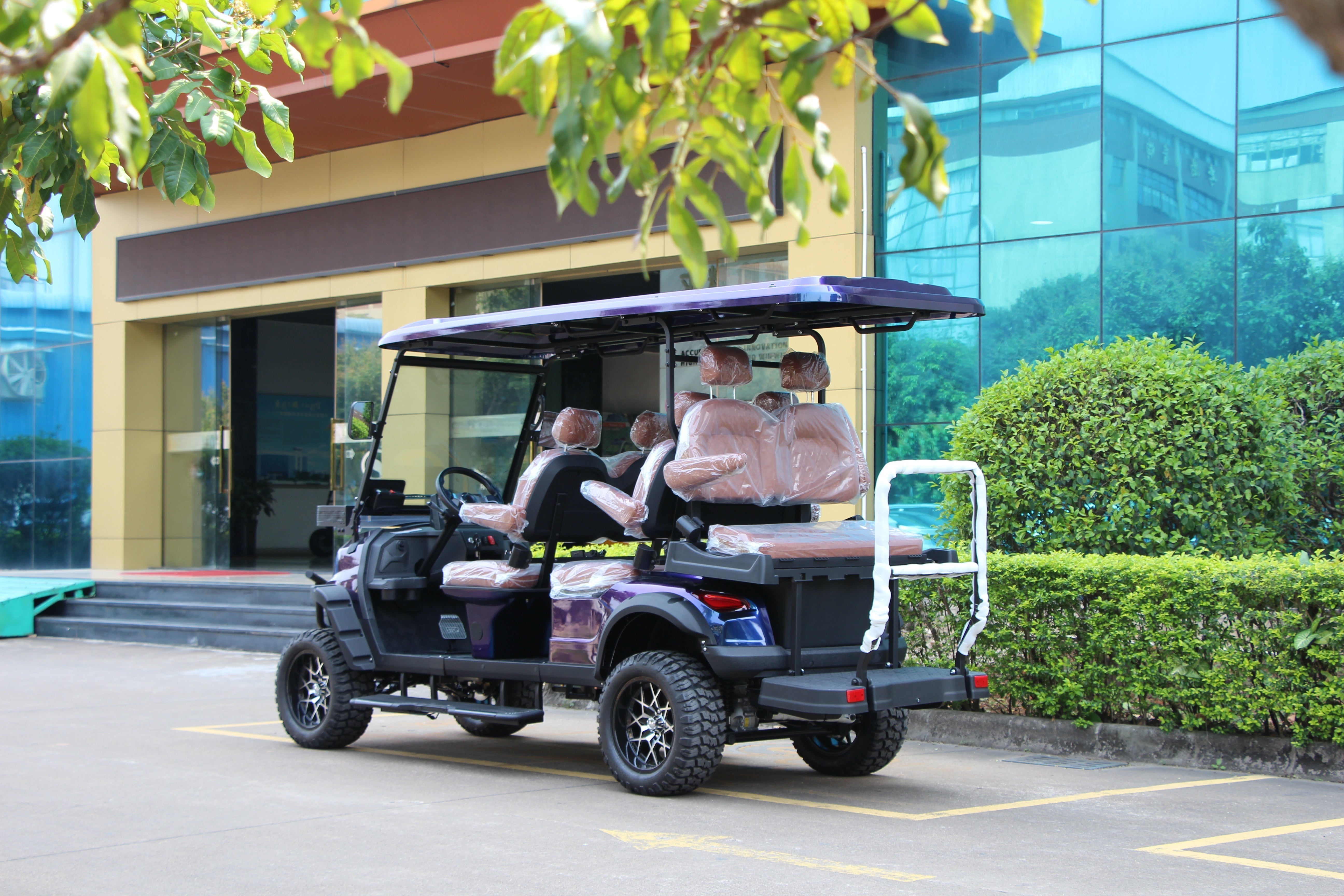 Widerway Golf Carts/Sightseeing Cars 6 Seaters-LQD041+2