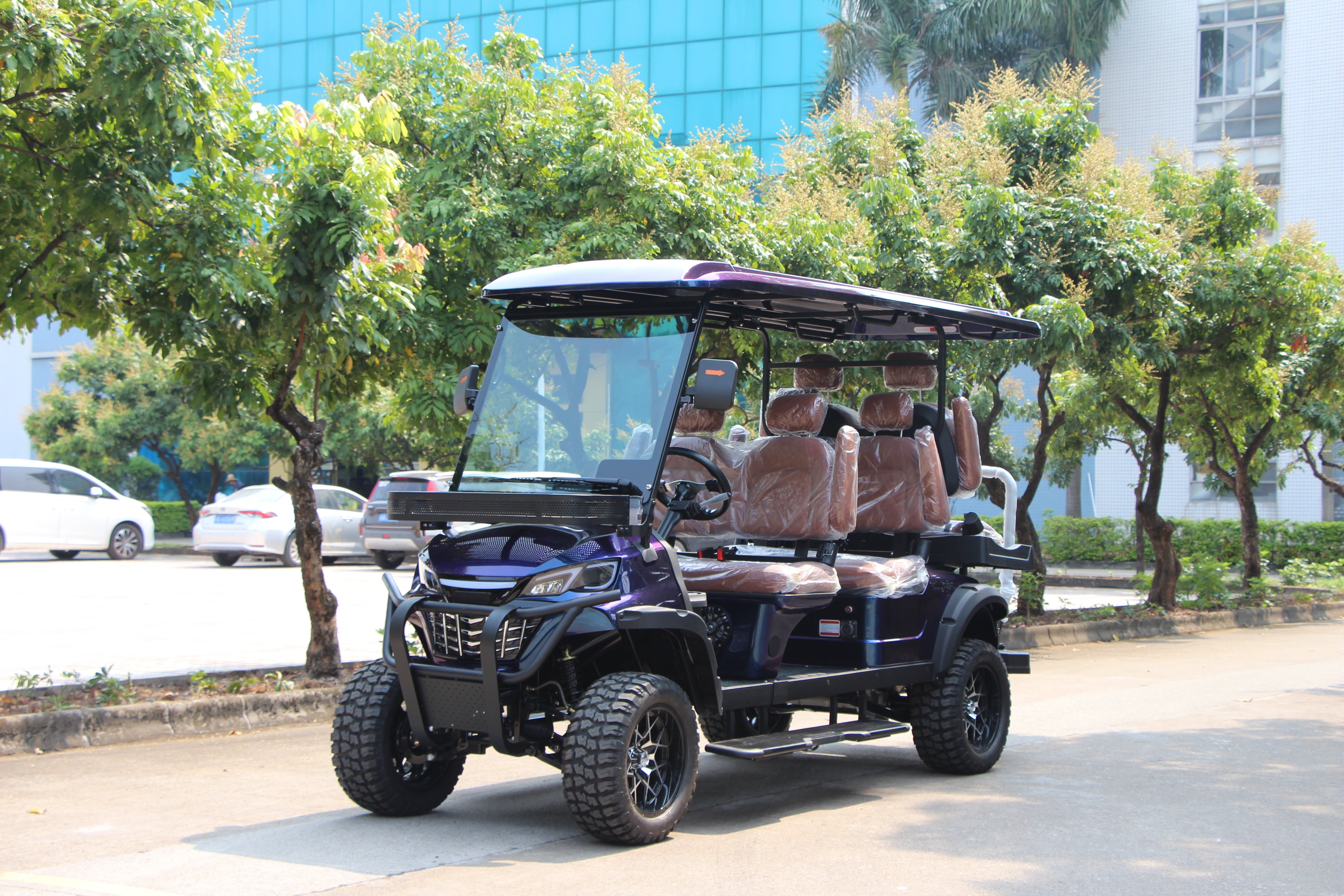 Widerway Golf Carts/Sightseeing Cars 6 Seaters-LQD041+2