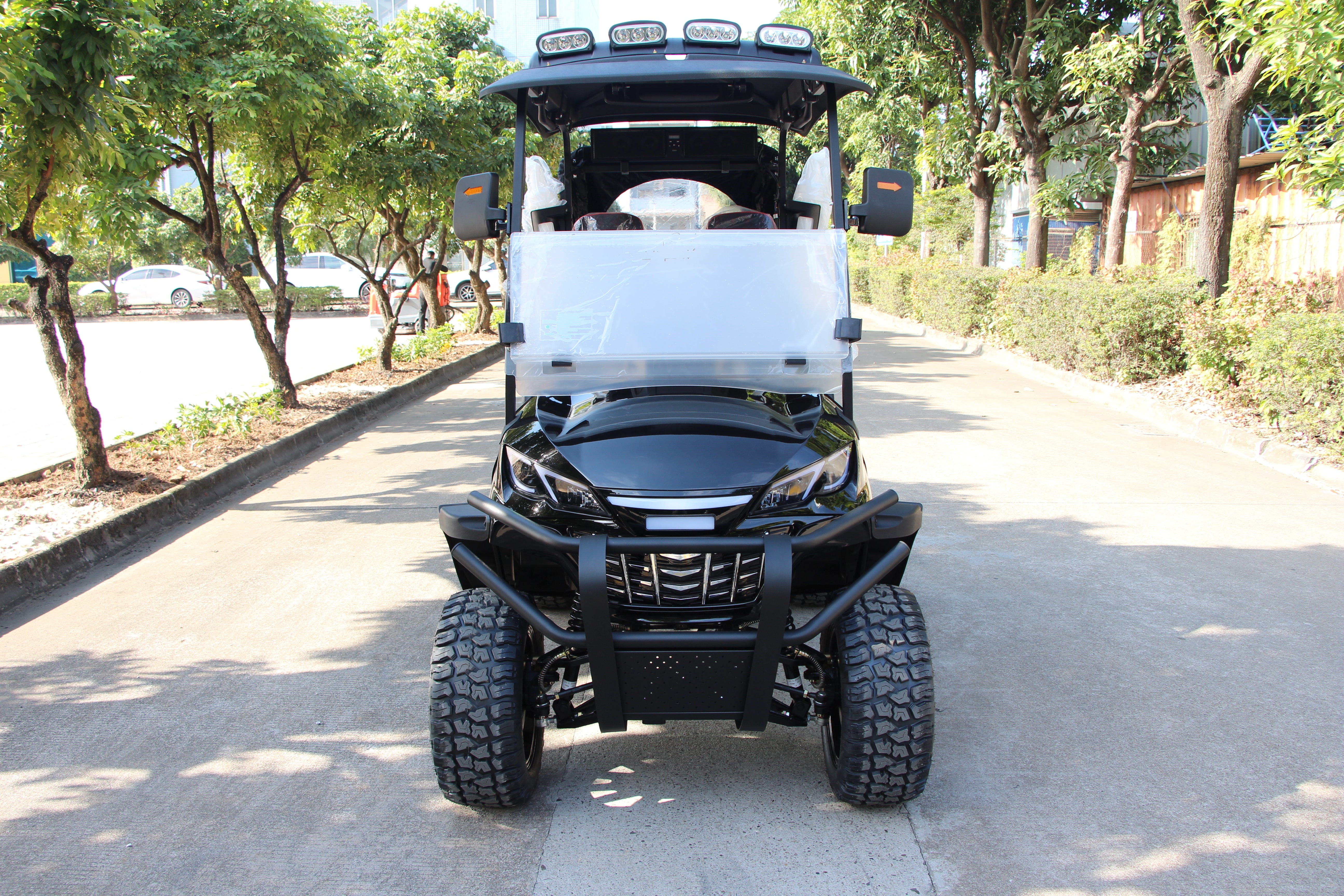 Widerway Golf Carts/Sightseeing Cars 2 Seaters-LQD021