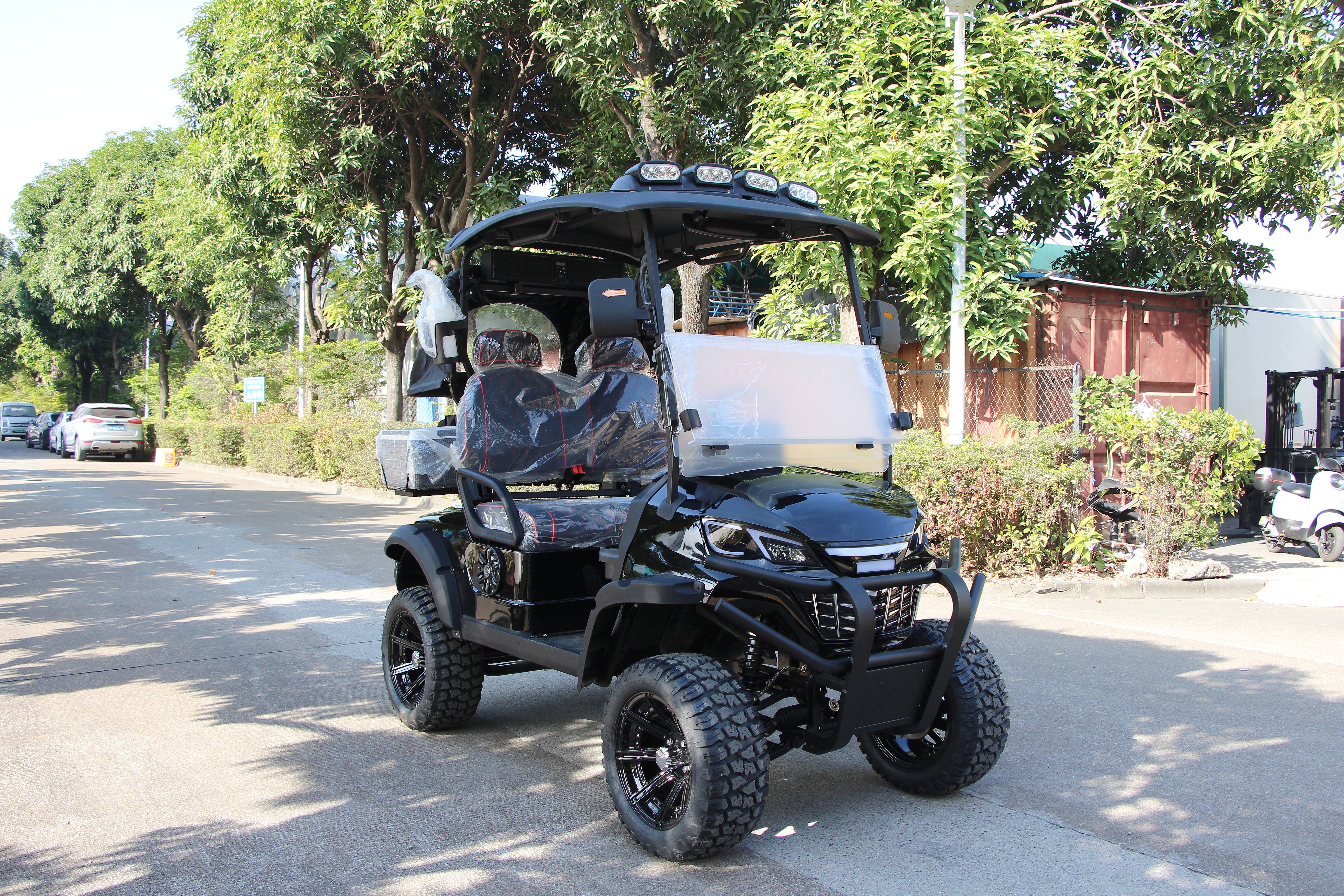 Widerway Golf Carts/Sightseeing Cars 2 Seaters-LQD021