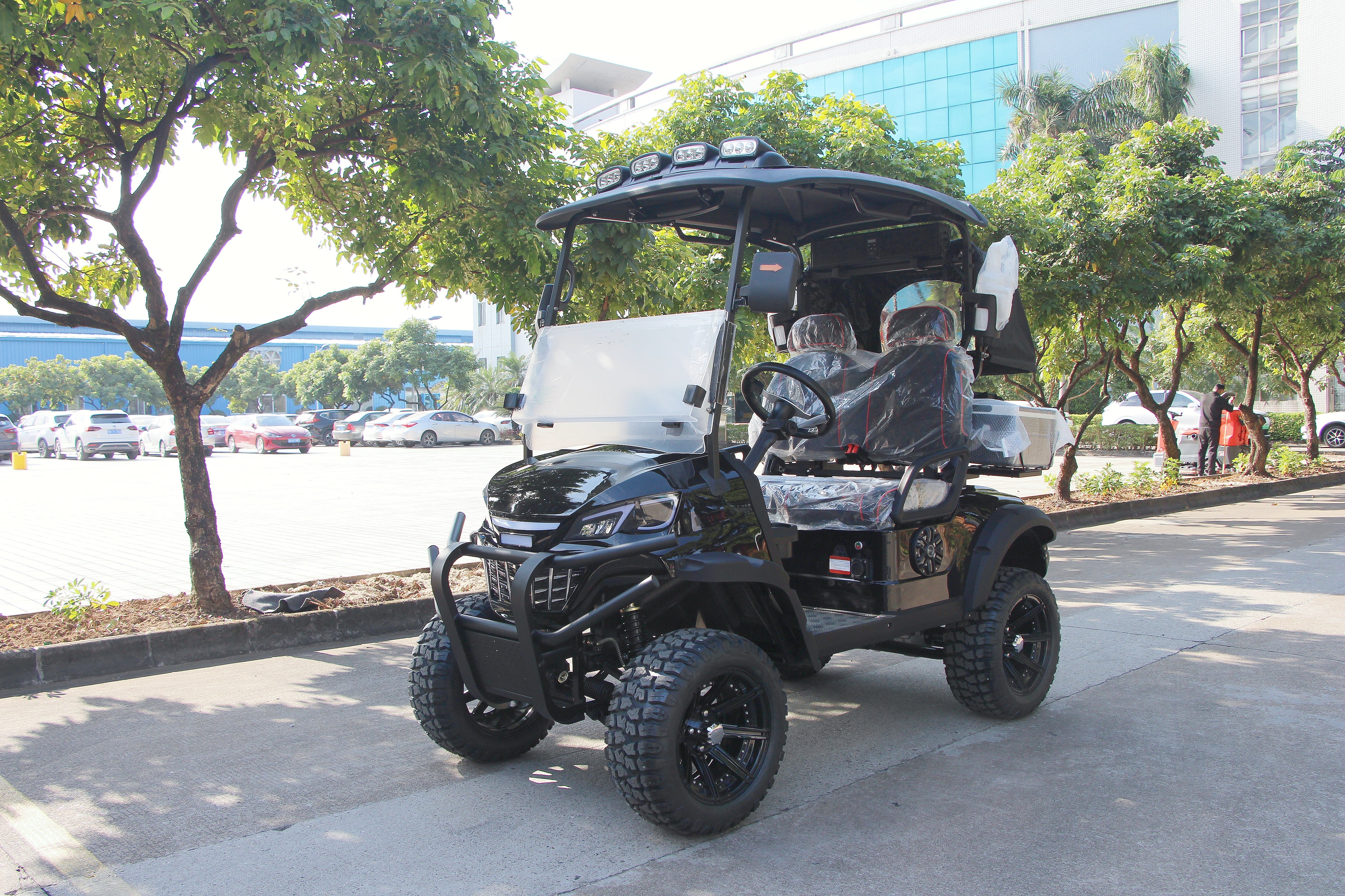 Widerway Golf Carts/Sightseeing Cars 2 Seaters-LQD021