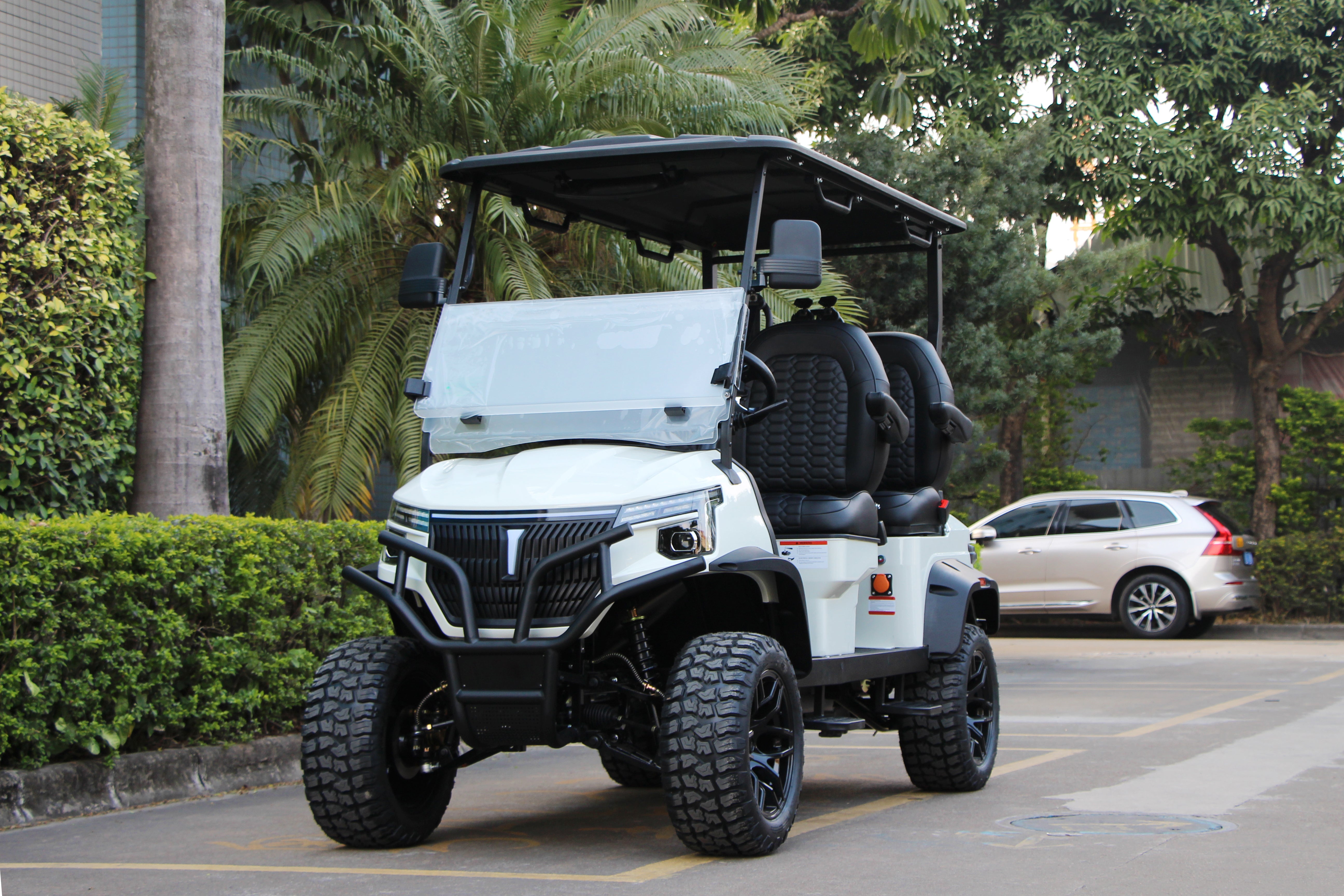 Widerway Golf Carts/Sightseeing Cars 4 Seaters-LQD045