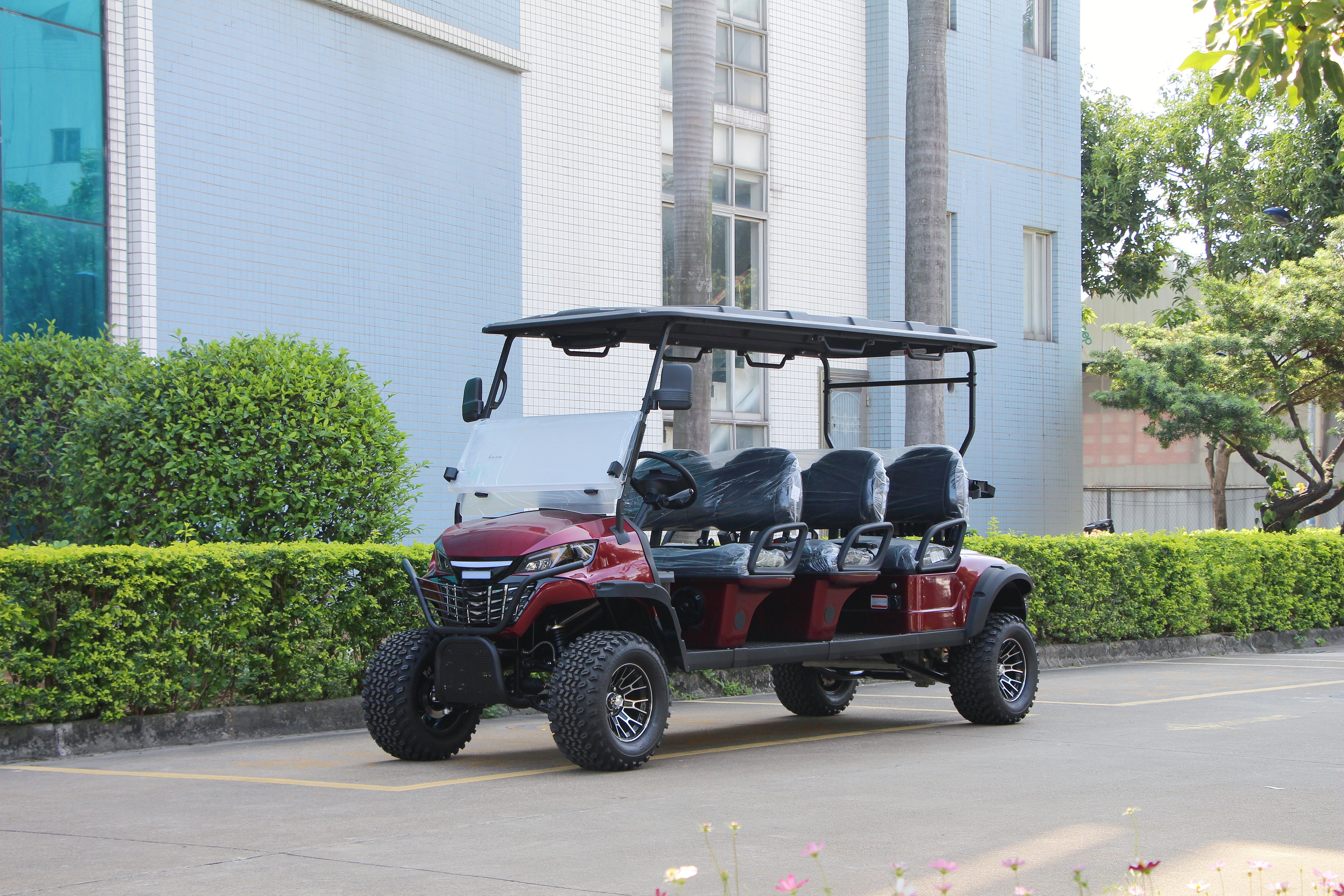 Widerway Golf Carts/Sightseeing Cars 6 Seaters-LQD061