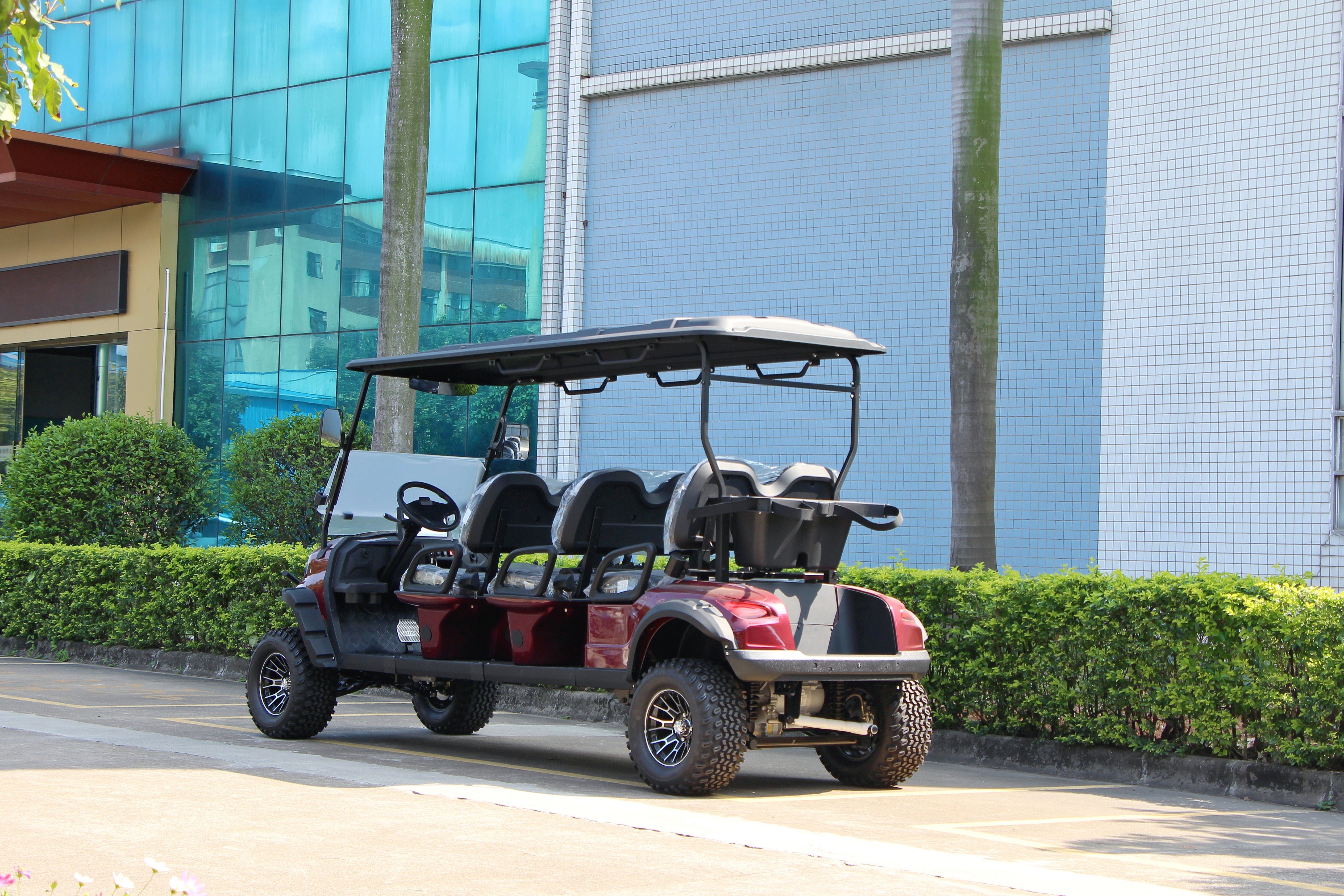Widerway Golf Carts/Sightseeing Cars 6 Seaters-LQD061