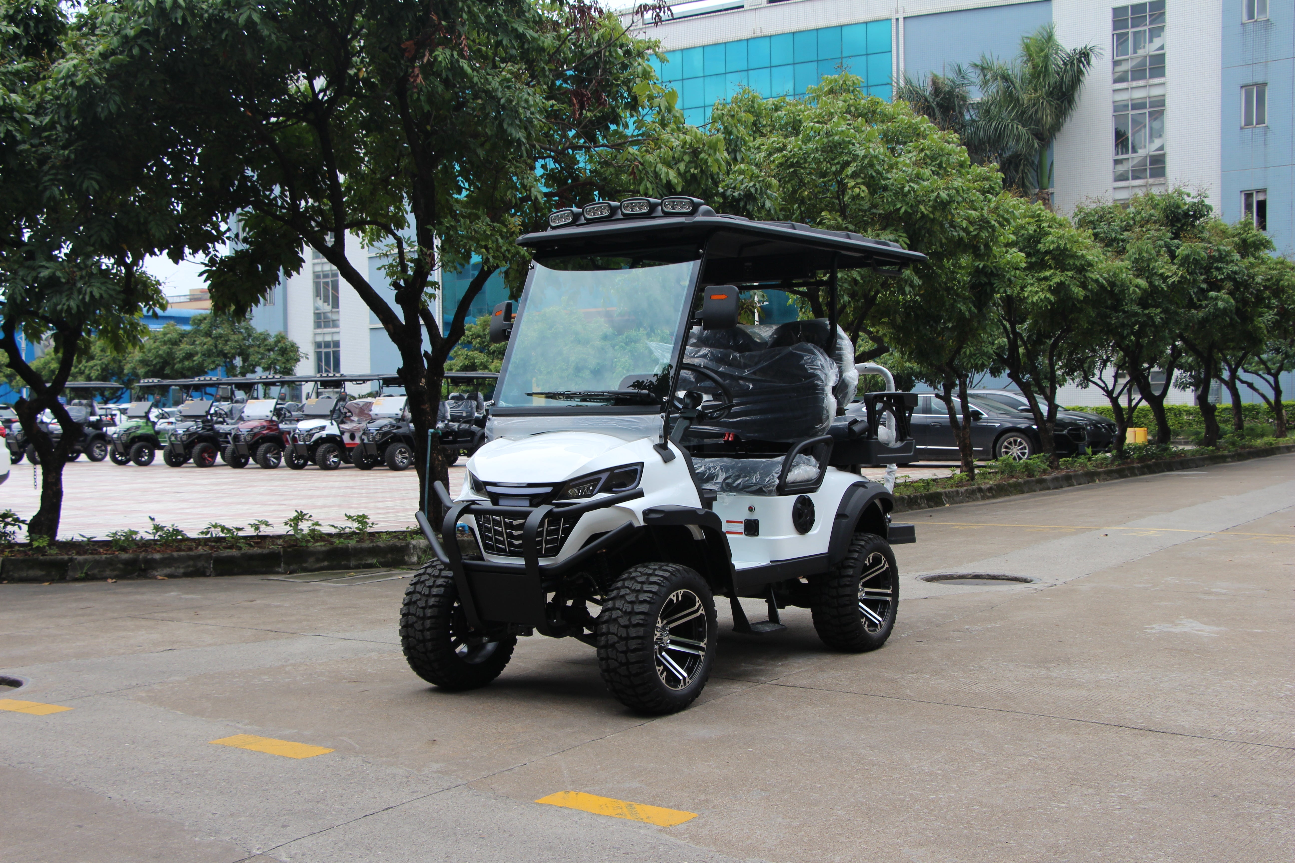 Widerway Golf Carts/Sightseeing Cars 4 Seaters-LQD021+2