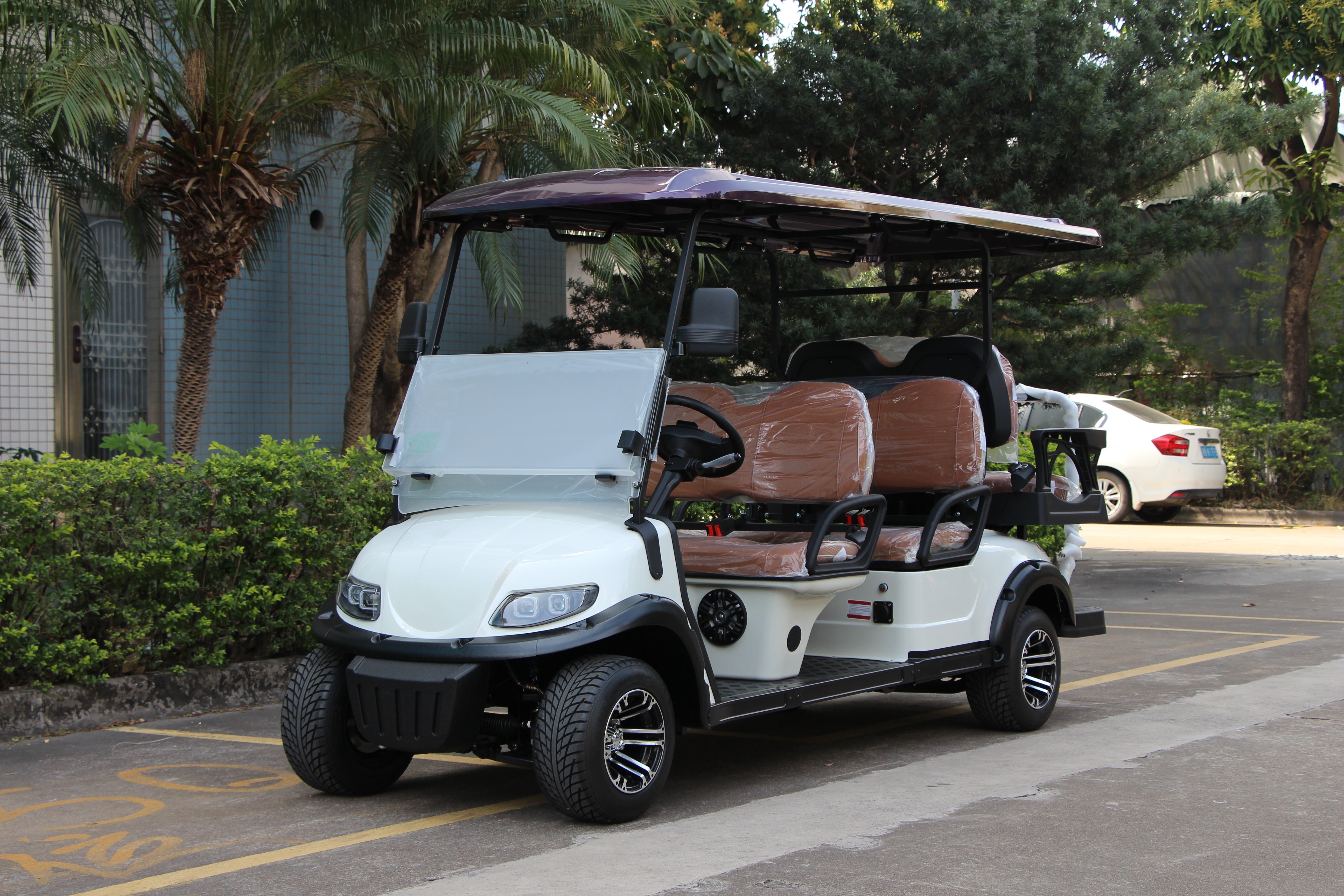 Widerway Golf Carts/Sightseeing Cars 6 Seaters-LQS040A+2