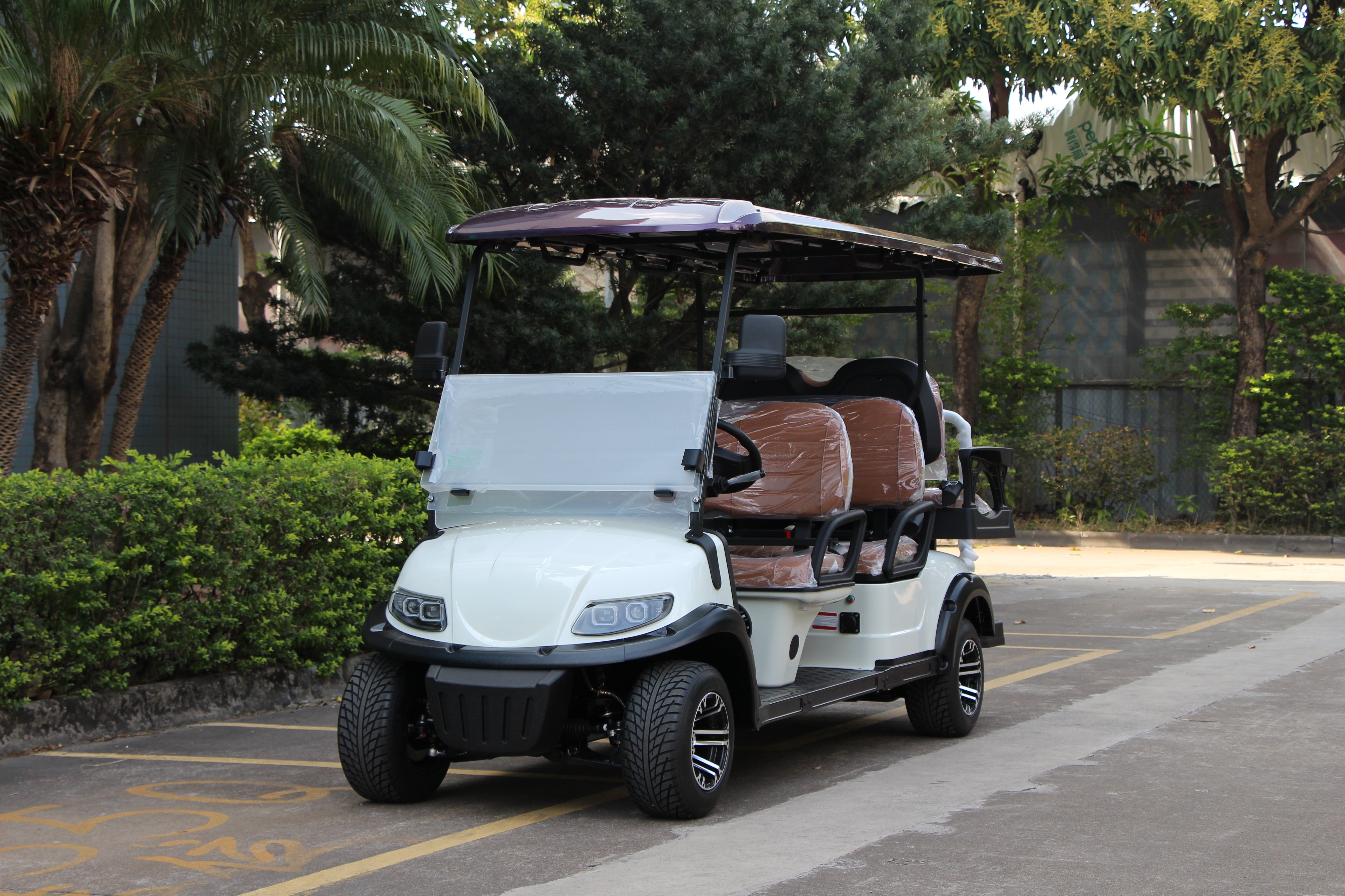 Widerway Golf Carts/Sightseeing Cars 6 Seaters-LQS040A+2