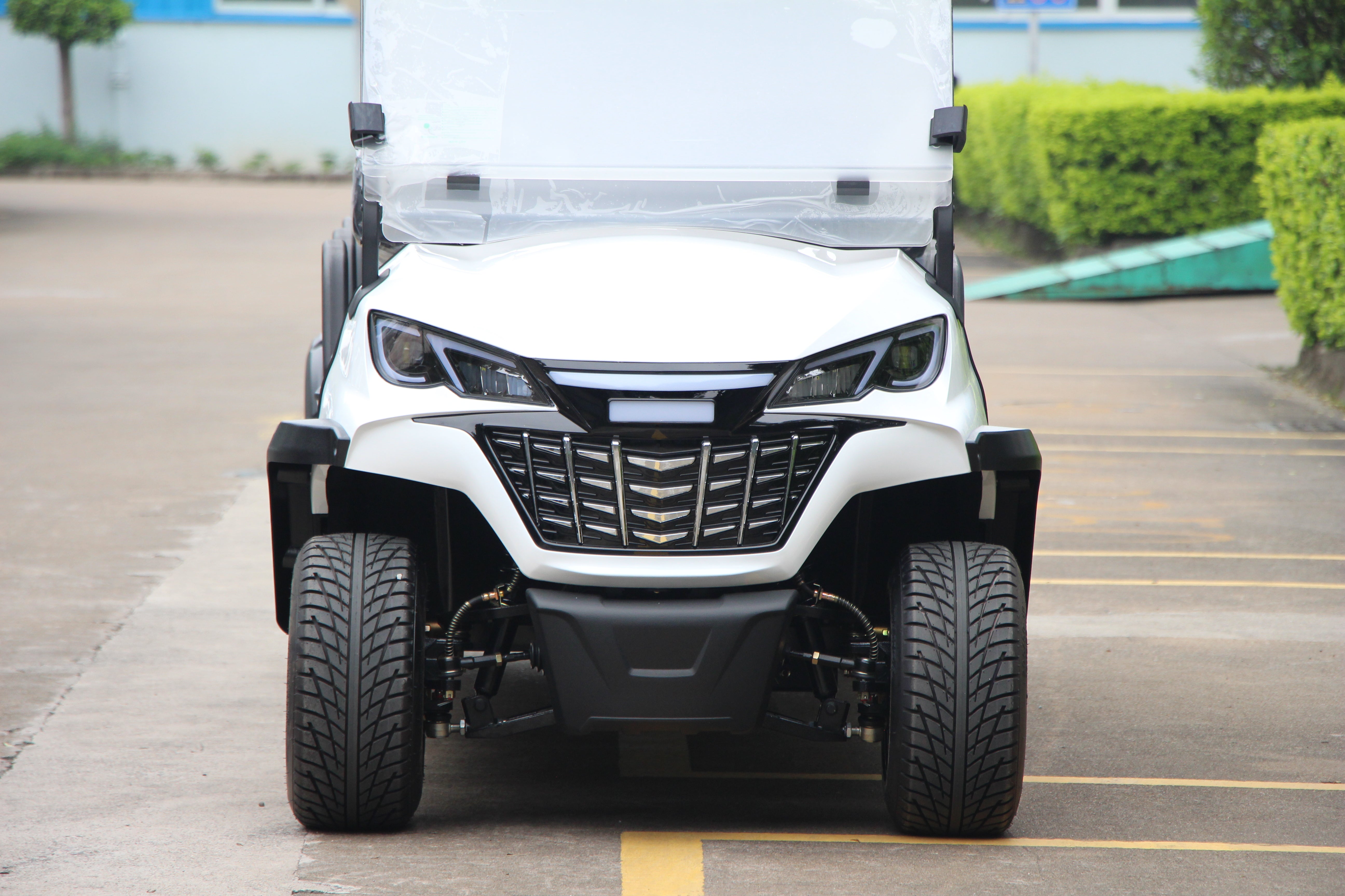 Widerway Golf Carts/Sightseeing Cars 6 Seaters-LQS061