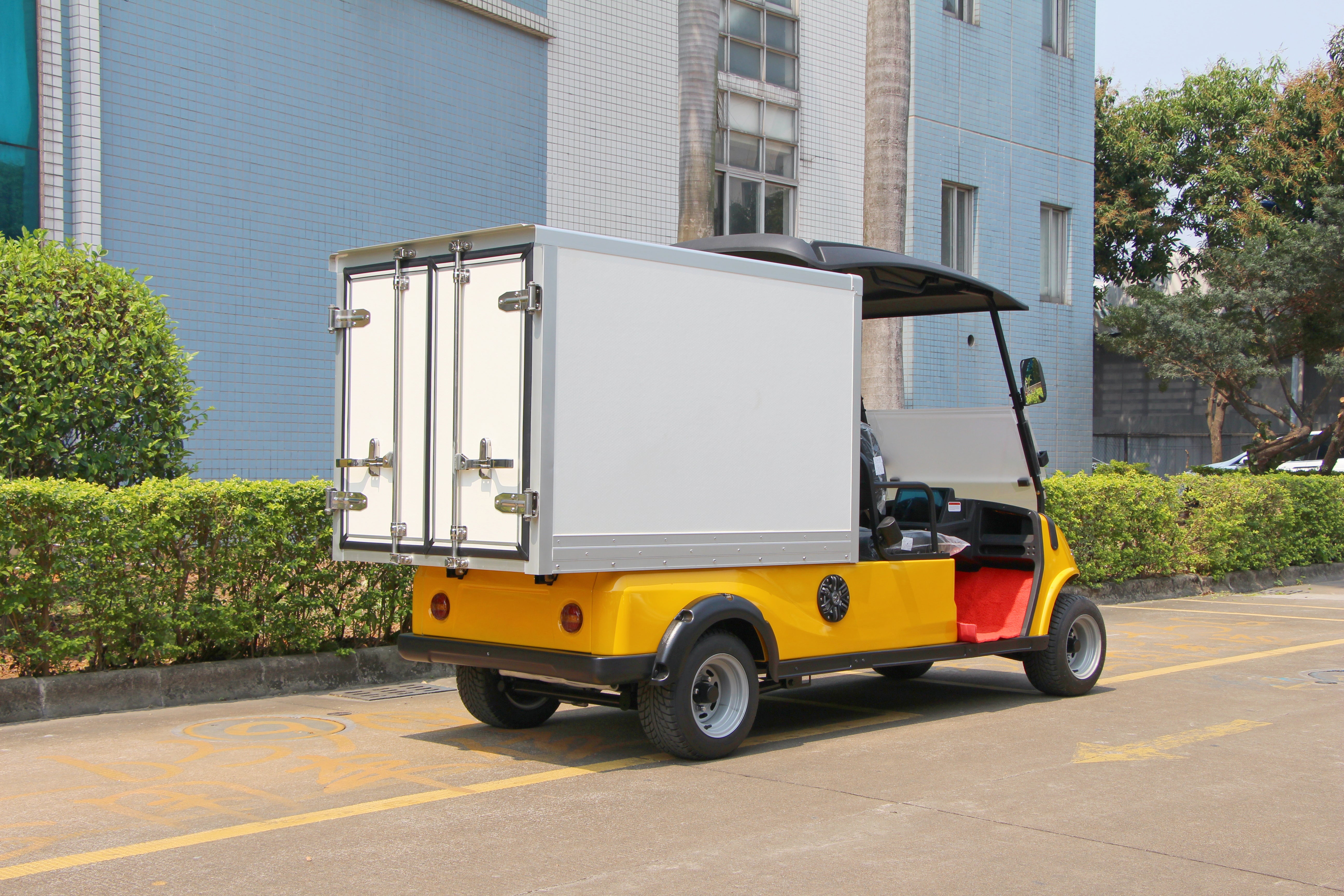 Widerway Cargo Truck 2 Seaters Customizable-LQSF020BM