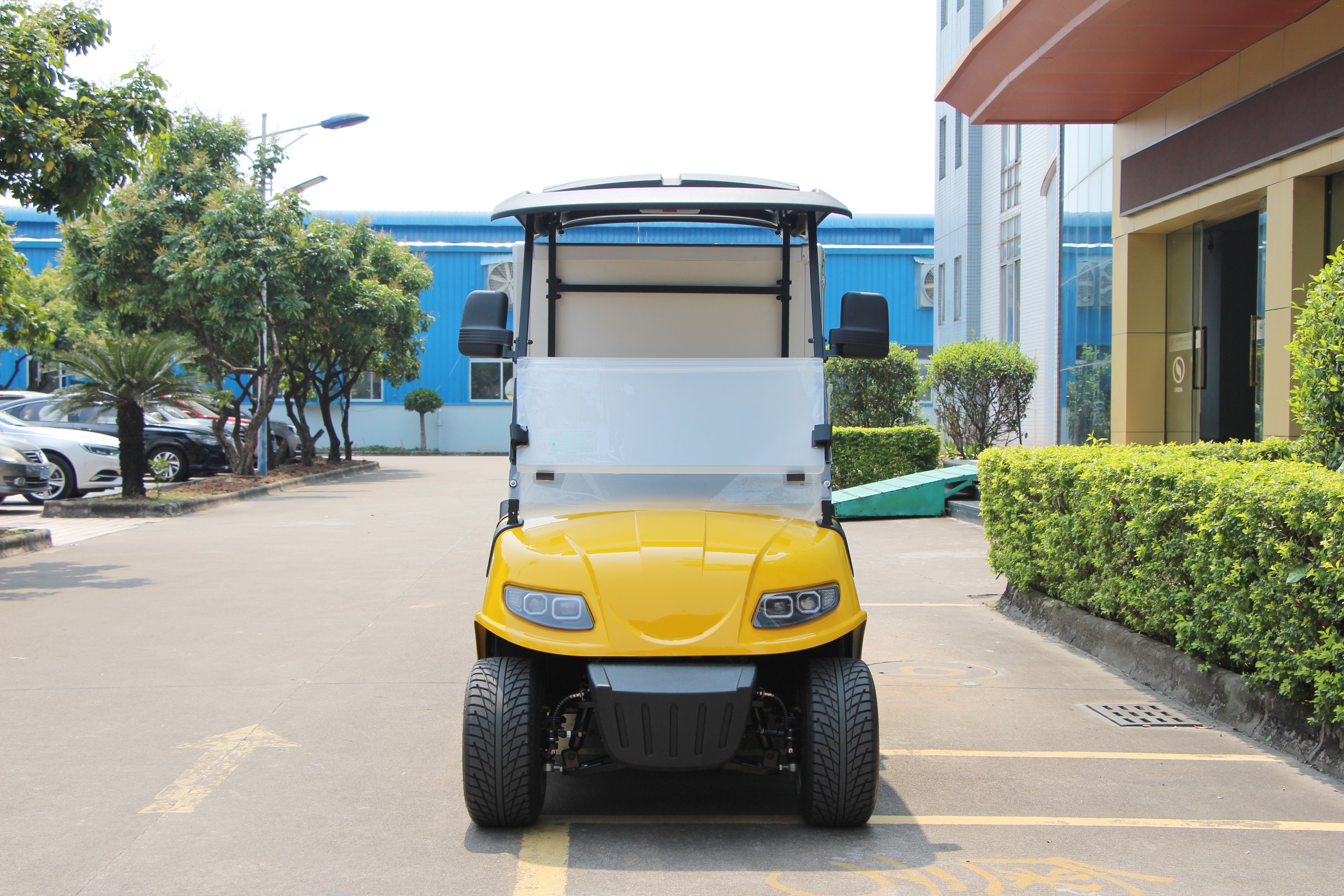 Widerway Cargo Truck 2 Seaters Customizable-LQSF020BM