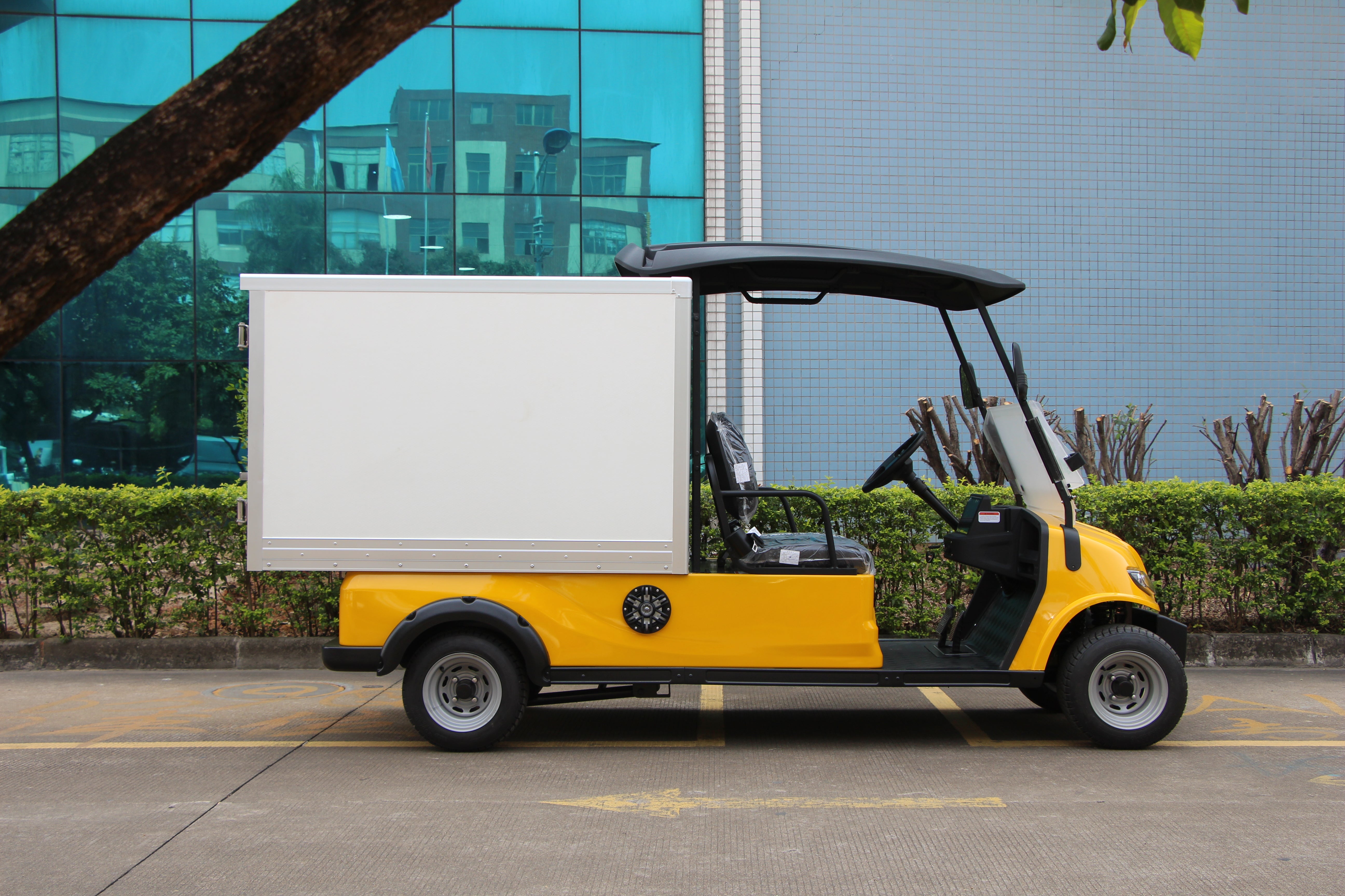 Widerway Cargo Truck 2 Seaters Customizable-LQSF020BM