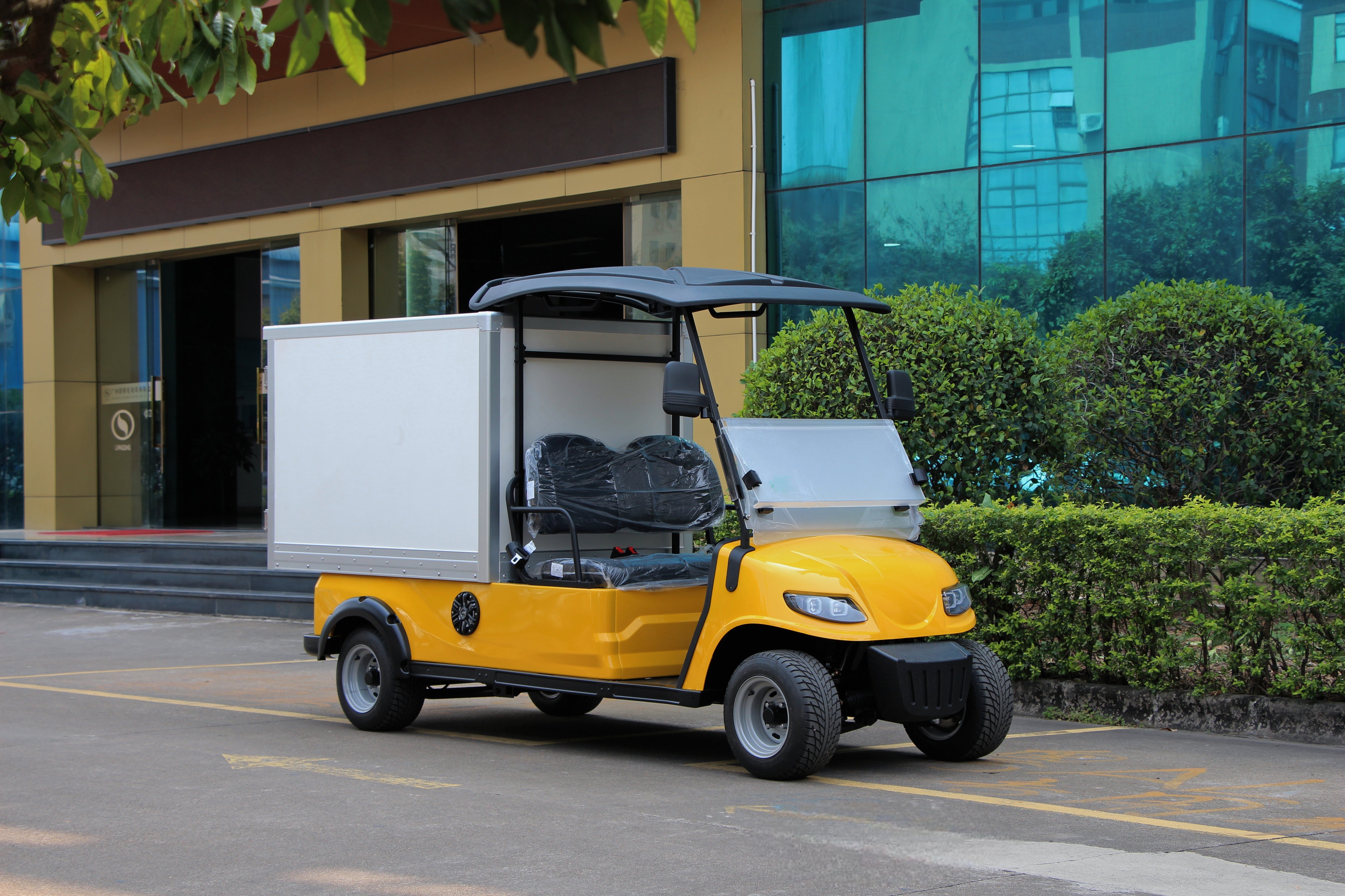 Widerway Cargo Truck 2 Seaters Customizable-LQSF020BM