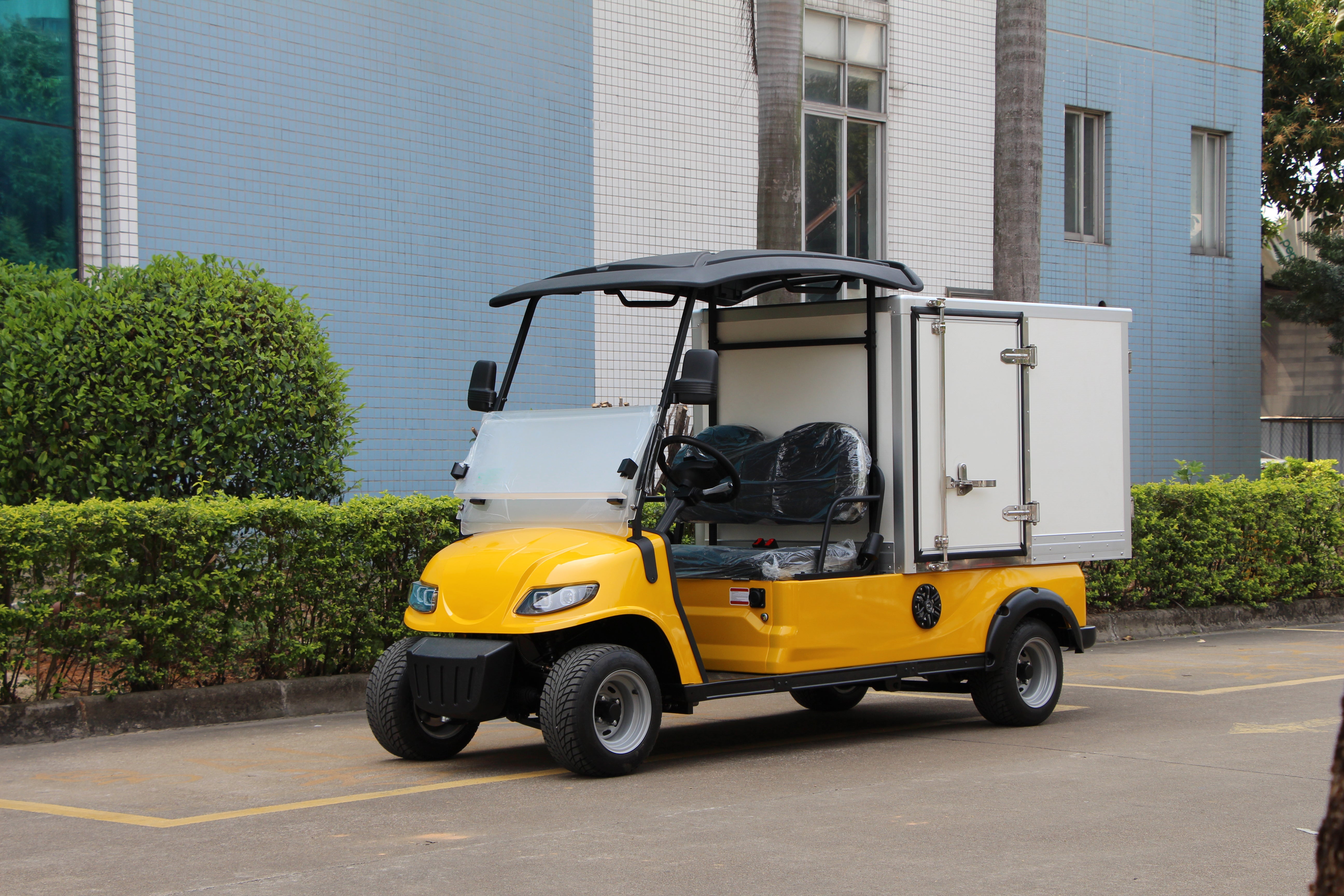 Widerway Cargo Truck 2 Seaters Customizable-LQSF020BM