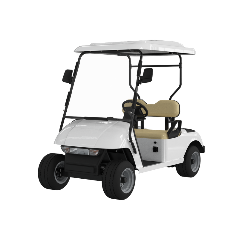 Widerway Golf Carts/Sightseeing Cars 2 Seaters-LQ2R