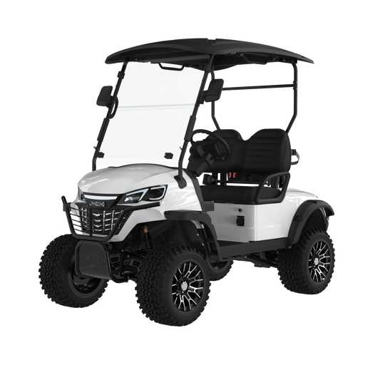 Widerway Golf Carts/Sightseeing Cars 2 Seaters-LQD021