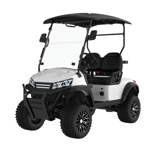 Widerway Golf Carts/Sightseeing Cars 2 Seaters-LQD022