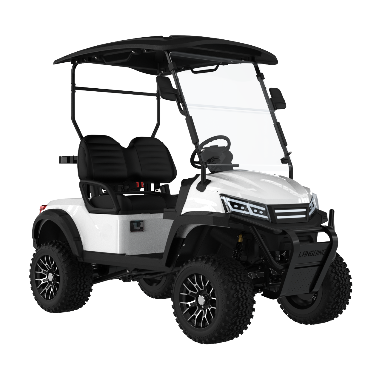 Widerway Golf Carts/Sightseeing Cars 2 Seaters-LQD022