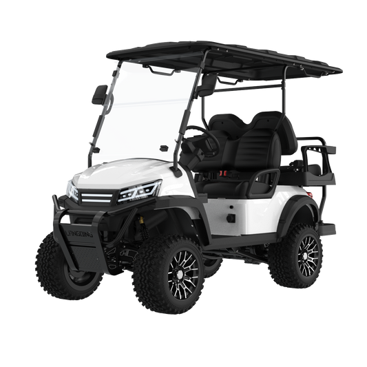 Widerway Golf Carts/Sightseeing Cars 4 Seaters-LQD022+2